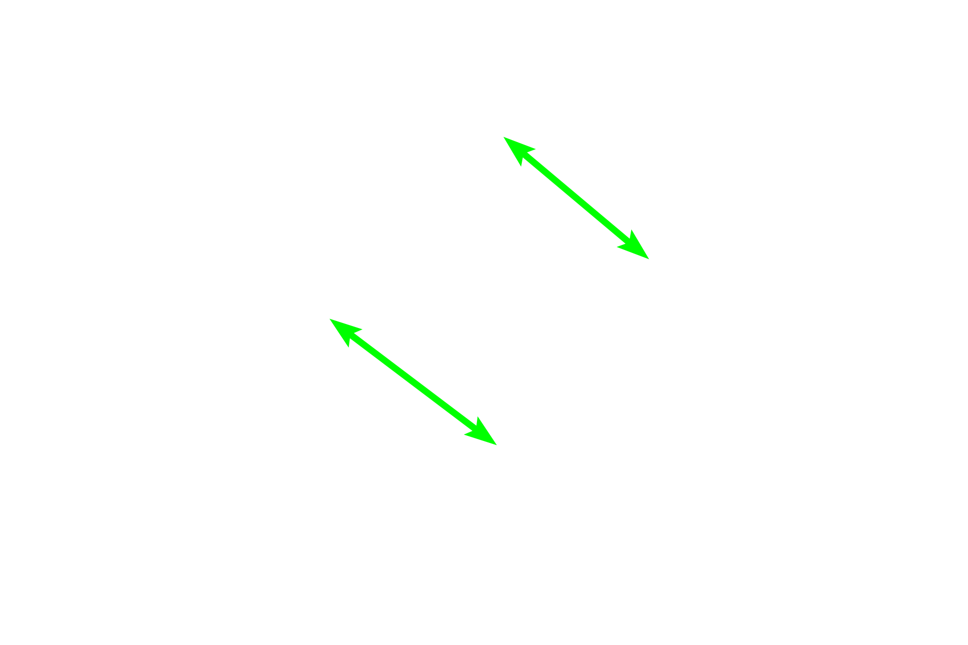 Proximal straight tubules > <p>Proximal straight tubules have a tall cuboidal epithelium, regular arrangement of nuclei around the tubule and a brush border (obscured here by the luminal contents). Ascending thick tubules are lined by a lower cuboidal epithelium with irregularly spaced nuclei that frequently bulge into the lumen. Collecting tubules have columnar epithelia with conspicuous lateral cell boundaries.</p>

