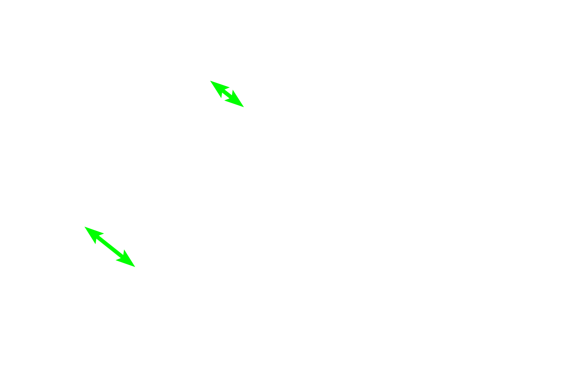 Ascending thick limb <p>Proximal straight tubules have a tall cuboidal epithelium, regular arrangement of nuclei around the tubule and a brush border (obscured here by the luminal contents). Ascending thick tubules are lined by a lower cuboidal epithelium with irregularly spaced nuclei that frequently bulge into the lumen. Collecting tubules have columnar epithelia with conspicuous lateral cell boundaries</p>
