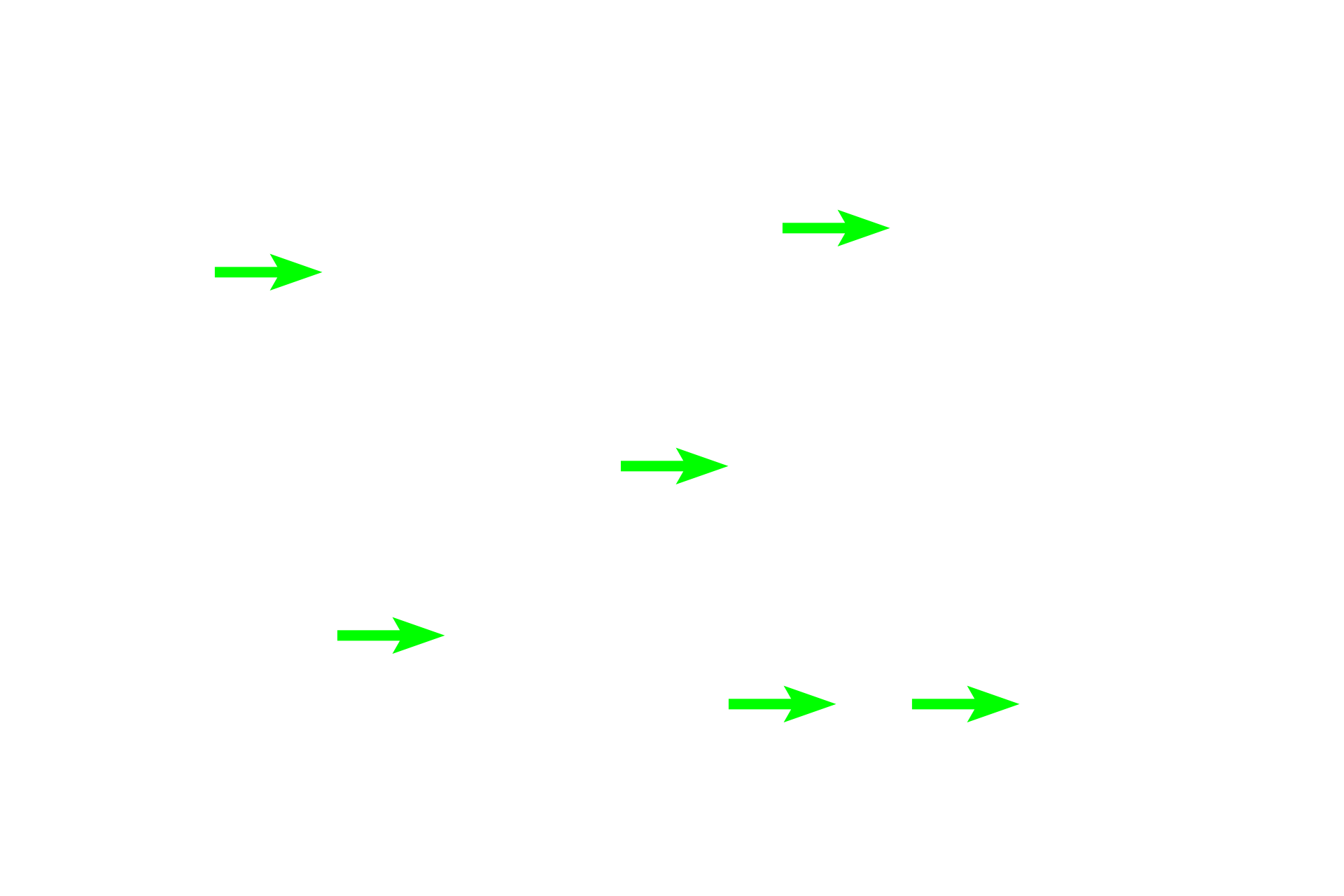 Vasa recta <p>Visible in this image, are thin limbs of the loop of Henle, ascending thick limbs, and a medullary collecting duct.  The proximal straight tubules do not extend this deeply into the medulla.  Medullary collecting ducts converge to form the large ducts of Bellini, which empty into minor calyces.  The vasa recta contain numerous red blood cells.  10x, 400x</p>
