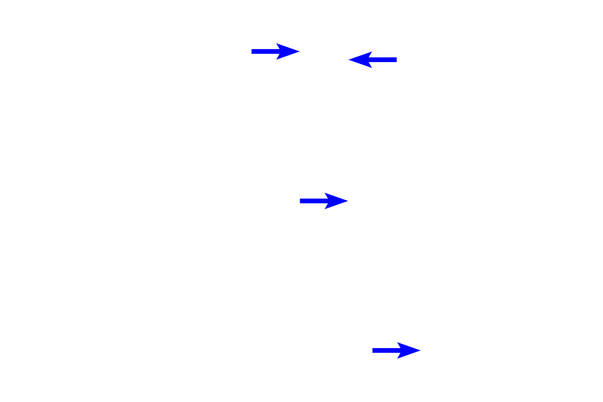 Thin limbs of loop of Henle <p>Visible in this image, are thin limbs of the loop of Henle, ascending thick limbs, and a medullary collecting duct.  The proximal straight tubules do not extend this deeply into the medulla.  Medullary collecting ducts converge to form the large ducts of Bellini, which empty into minor calyces.  The vasa recta contain numerous red blood cells.  10x, 400x</p>
