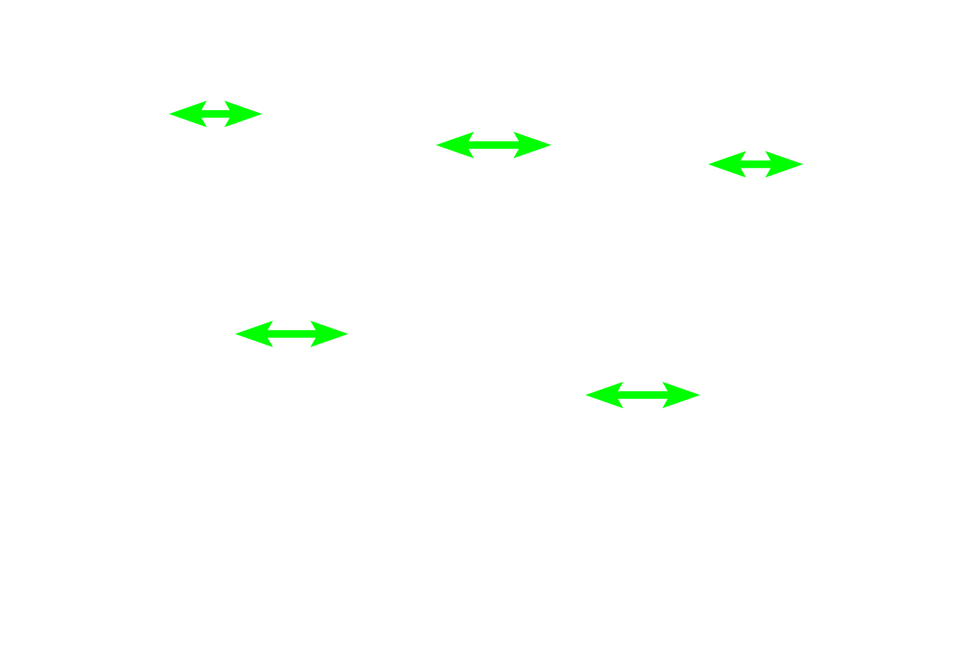 Ascending thick limb <p>The ascending thick tubule is lined with simple cuboidal epithelium whose nuclei are irregularly arranged around the lumen. The collecting duct is lined by simple columnar epithelial cells, called principle cells, with very pale cytoplasm and distinct lateral cell boundaries. Interspersed with these pale principle cells are darker intercalated cells, which often bulge into the lumen. 400x</p>
