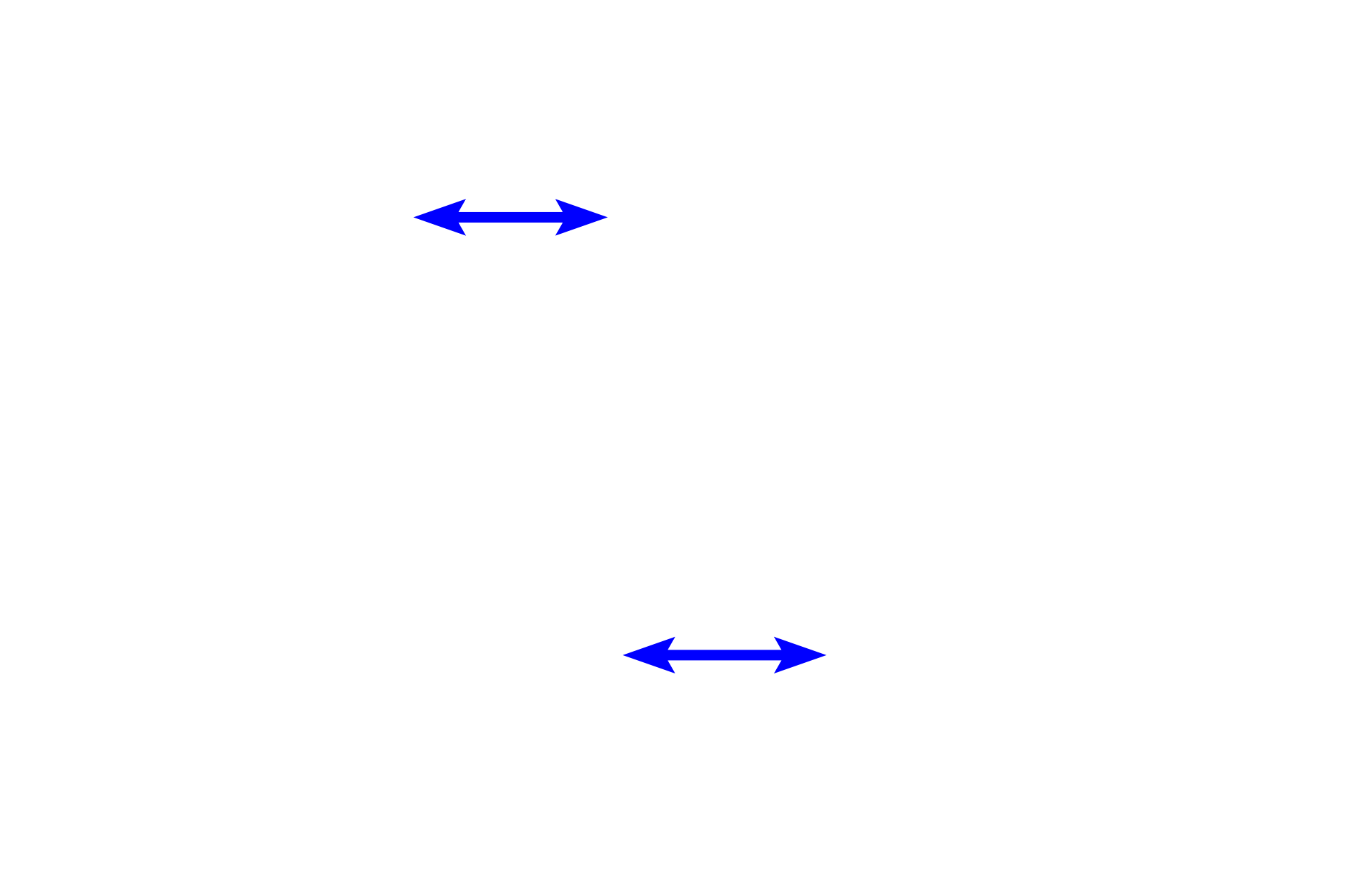 Collecting duct <p>The ascending thick tubule is lined with simple cuboidal epithelium whose nuclei are irregularly arranged around the lumen. The collecting duct is lined by simple columnar epithelial cells, called principle cells, with very pale cytoplasm and distinct lateral cell boundaries. Interspersed with these pale principle cells are darker intercalated cells, which often bulge into the lumen. 400x</p>

