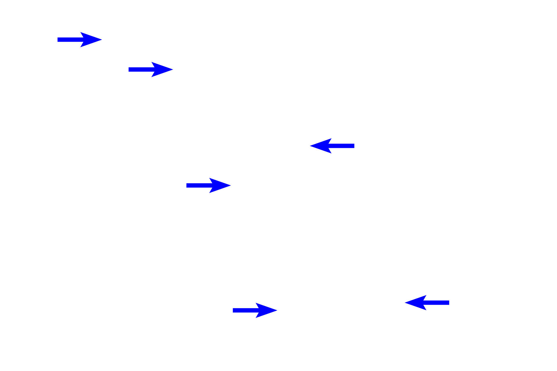 Thin limb of loop of Henle <p>The thin limb of the loop of Henle is lined by a simple squamous epithelium whose thickness is usually greater than that of a capillary.  The ascending thick limb is lined with a simple cuboidal epithelium whose nuclei are irregularly arranged around and bulge into the lumen.  400x</p>
