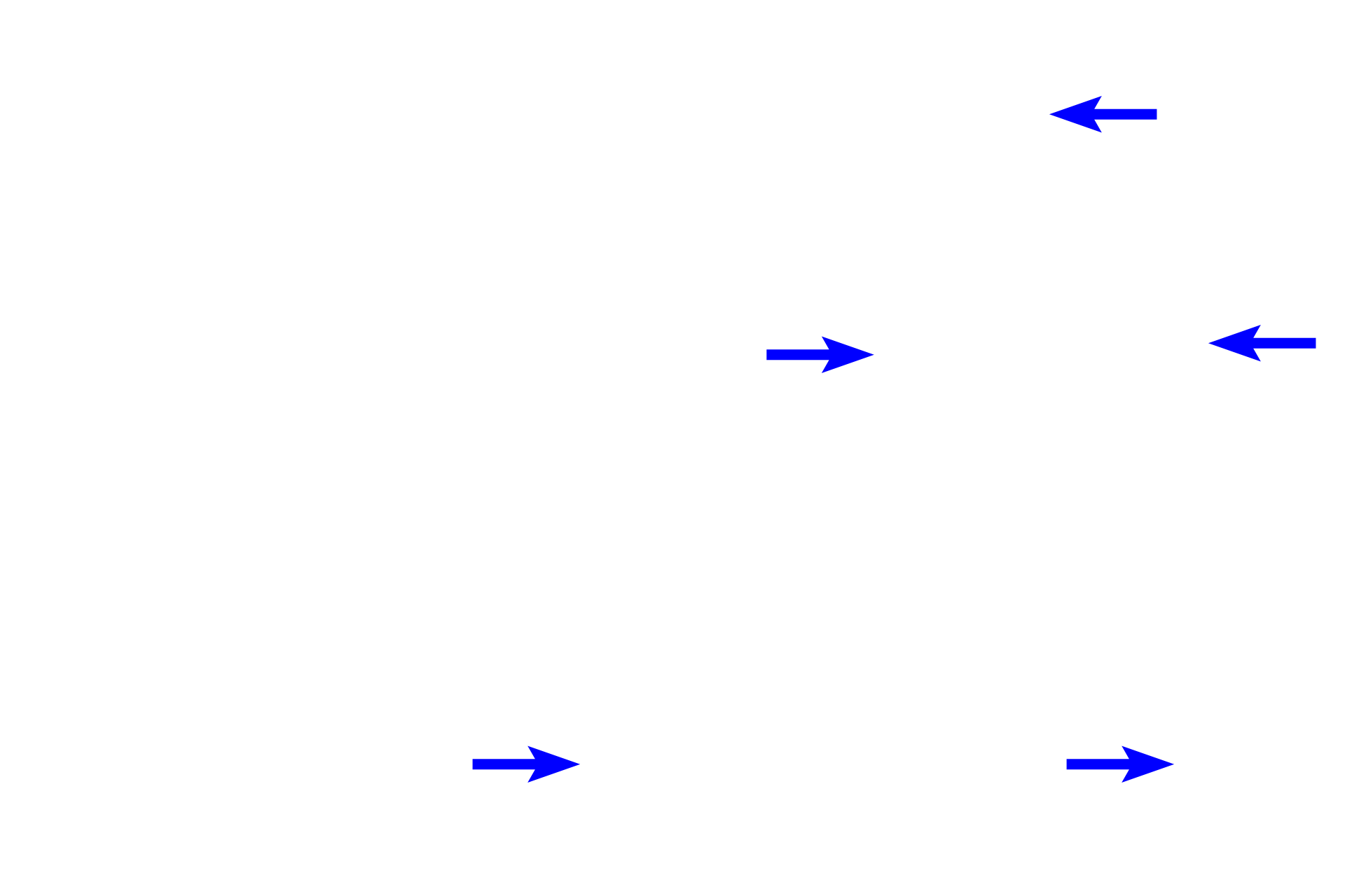 Vasa recta <p>The thin limb of the loop of Henle is lined by a simple squamous epithelium whose thickness is usually greater than that of a capillary.  The ascending thick limb is lined with a simple cuboidal epithelium whose nuclei are irregularly arranged around and bulge into the lumen.  400x</p>
