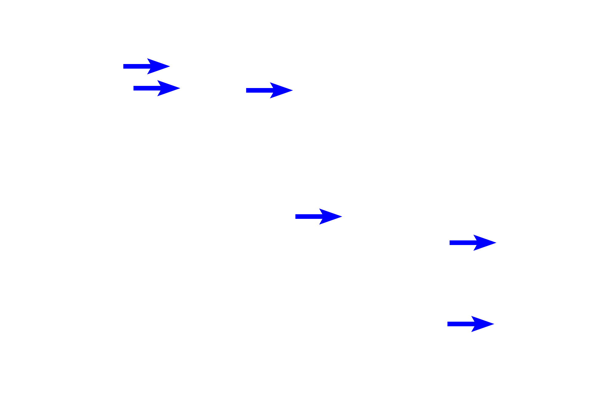  - Principle cells > <p>Principle cells are the major target for the hormone aldosterone, which regulates the tonicity of urine. These pale-staining principle cells also line connecting ducts and other portions of collecting ducts. Intercalated cells play an important role in acid-balance balance.</p>
