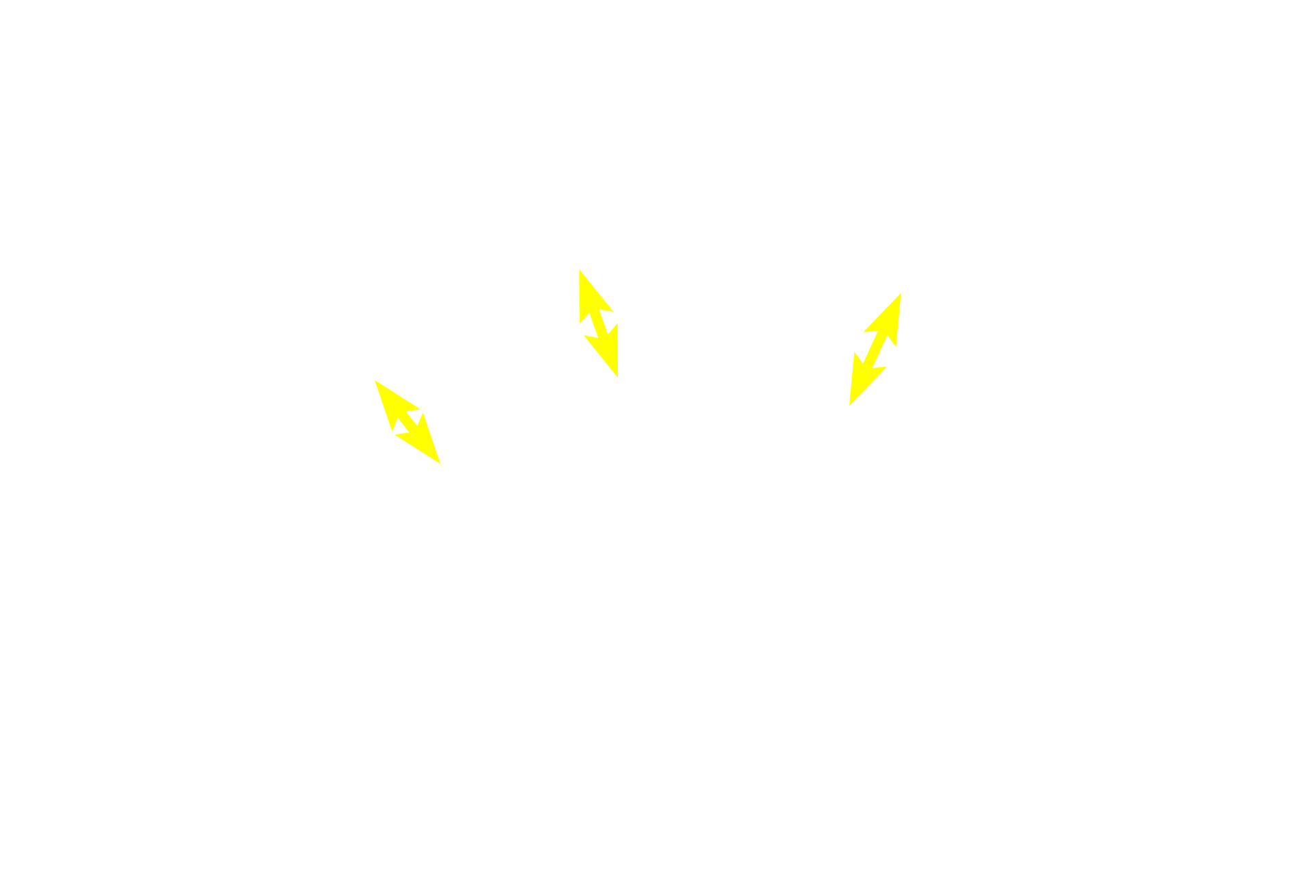  -- Outer stripe <p>The medulla is subdivided into outer and inner regions, with the outer medulla being further subdivided into an inner stripe and an outer stripe.  The variation in staining visible in these regions reflects the location of distinct parts of the uriniferous tubule at different levels of the pyramid.</p>
