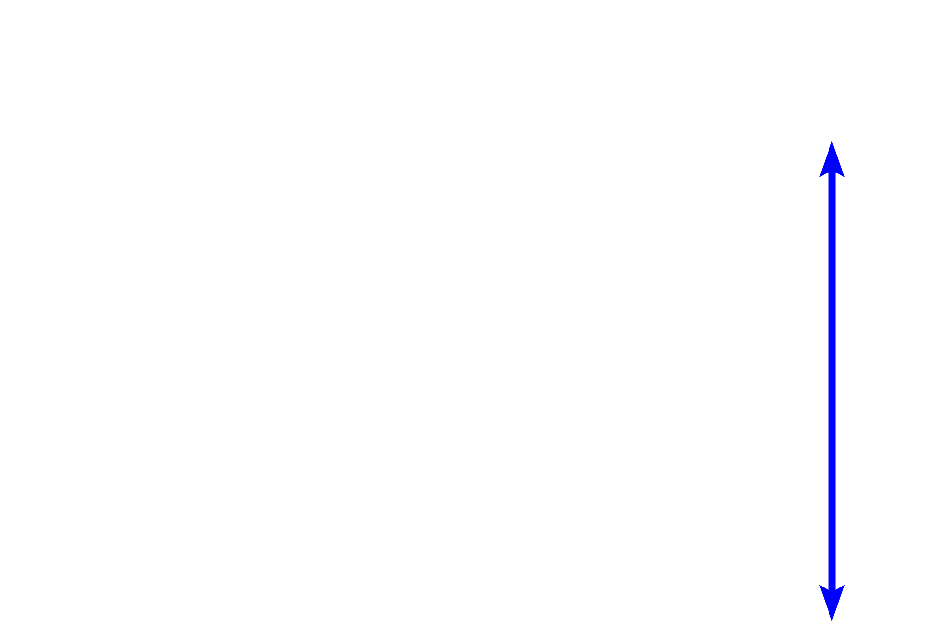 Minor calyx <p>Papillary ducts of Bellini discharge urine into the lumen of a minor calyx, forming a perforated region of the papilla called the area cribrosa.  The minor calyx is continuous with a major calyx, which continues into the renal pelvis.  In general, these excretory passages are lined by transitional epithelium resting on a thin lamina propria and a double layer of smooth muscle.  200x</p>
