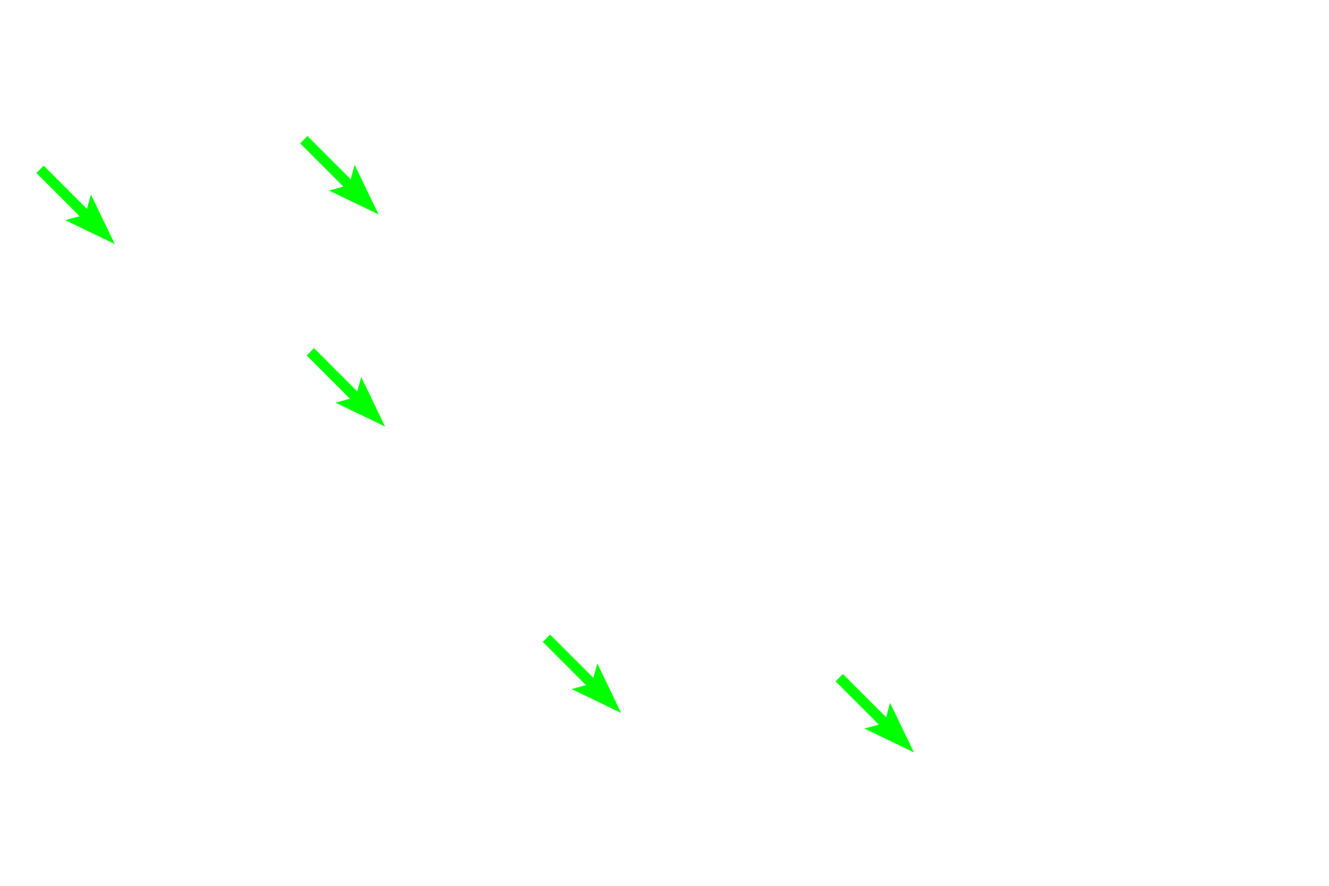 Peritubular capillaries > <p>Peritubular capillaries surround the tubules of the nephron and are supplied by the efferent arteriole.</p>
