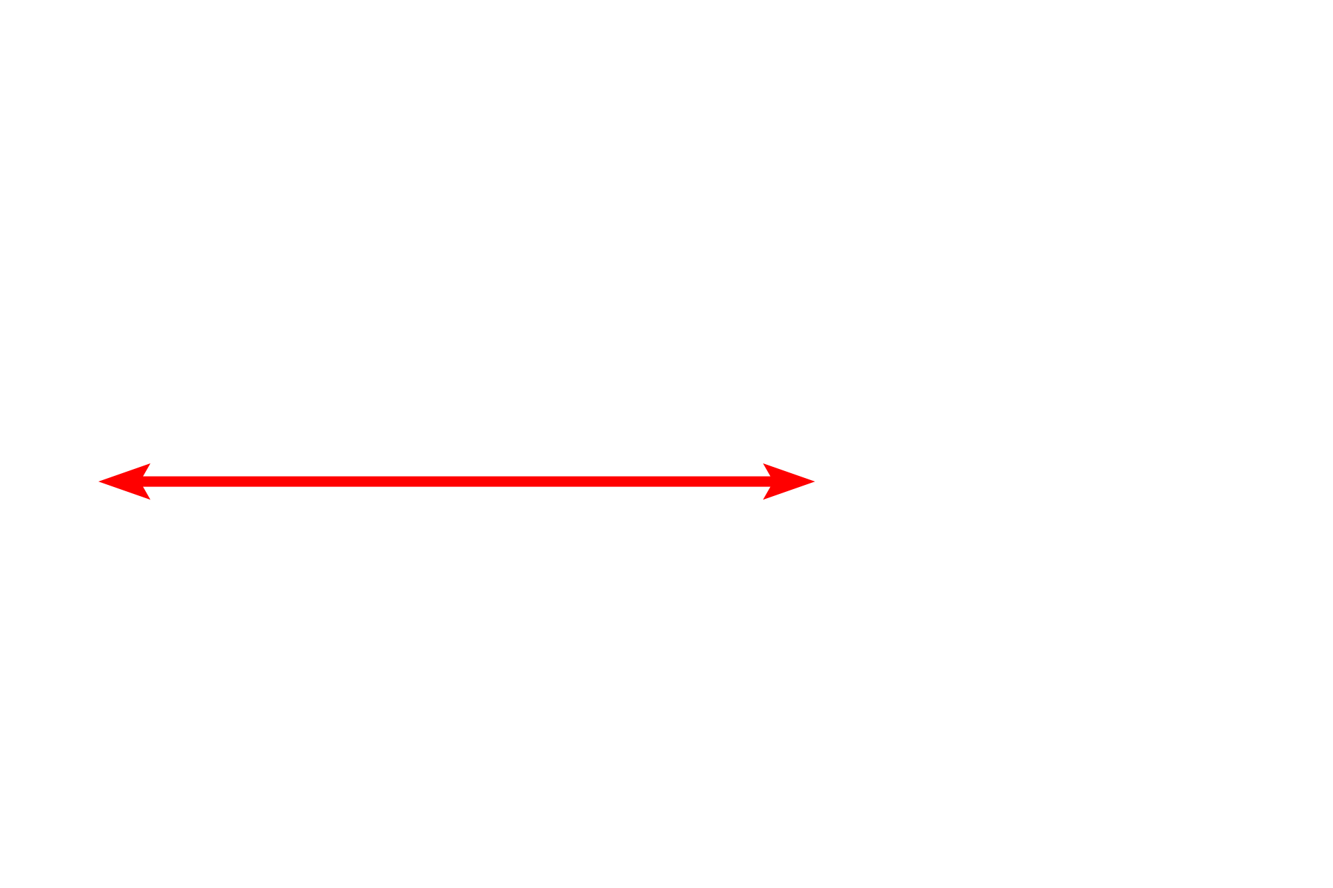 Nucleus <p>The epithelial wall of a proximal tubule displays a brush border on the luminal surface and infoldings of the basal plasma membrane on the basal surface.  Tubular invaginations of the clefts between microvilli (apical canaliculi) extend into the cytoplasm.  These canaliculi and poor fixation of the numerous mitochondria result in the foamy appearance of the cells seen at the light microscopic level.  5000x</p>
