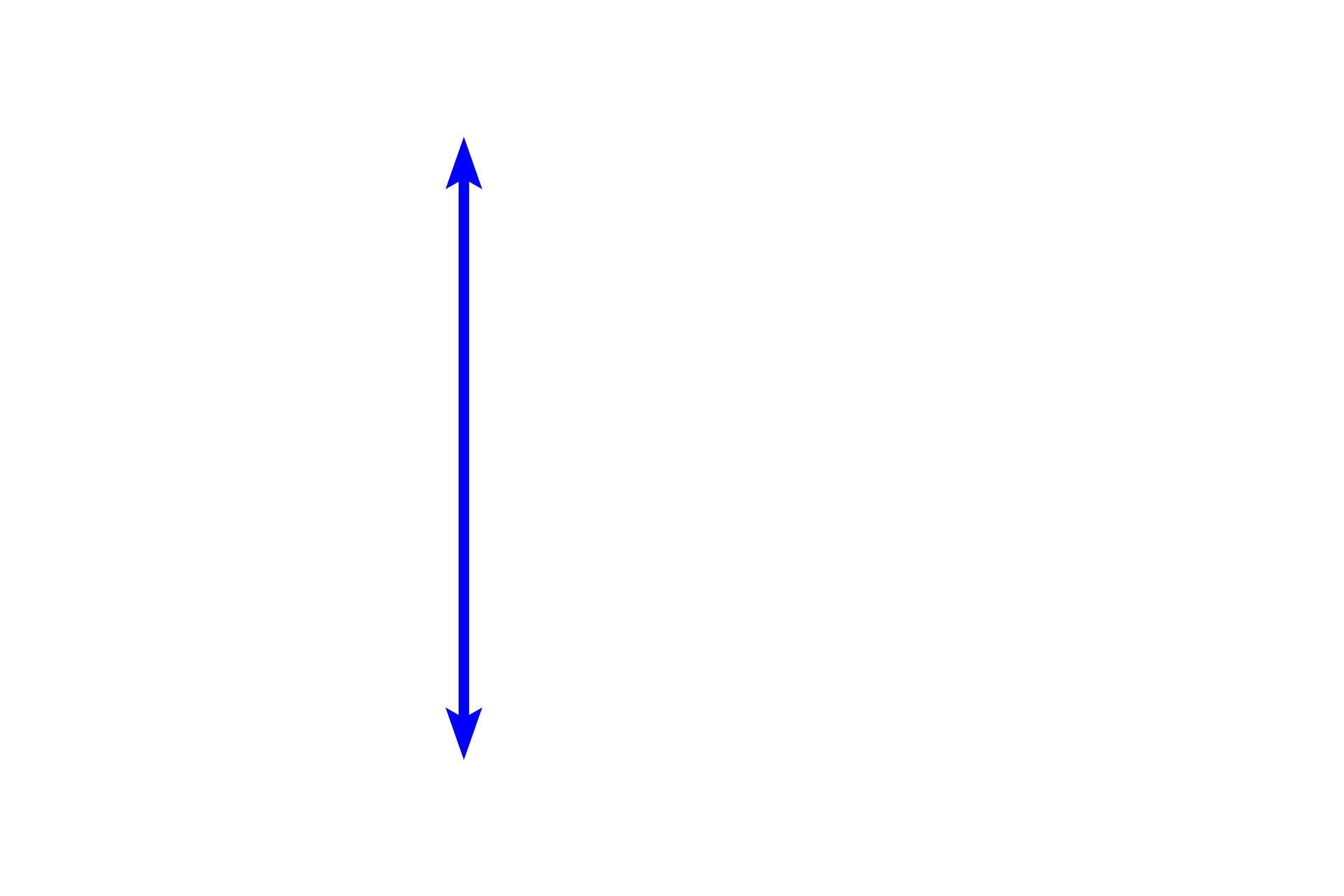 Renal corpuscle <p>The convoluted regions of the cortex contain renal corpuscles, proximal and distal convoluted tubules, terminal ends of the ascending thick limbs, and connective tubules.  A specialization of the ascending thick limb (distal straight tubule) and the adjacent afferent arteriole is called the juxtaglomerular apparatus, which regulates blood pressure and volume by activating the renin-angiotensin-aldosterone system.  10x, 200x</p>

