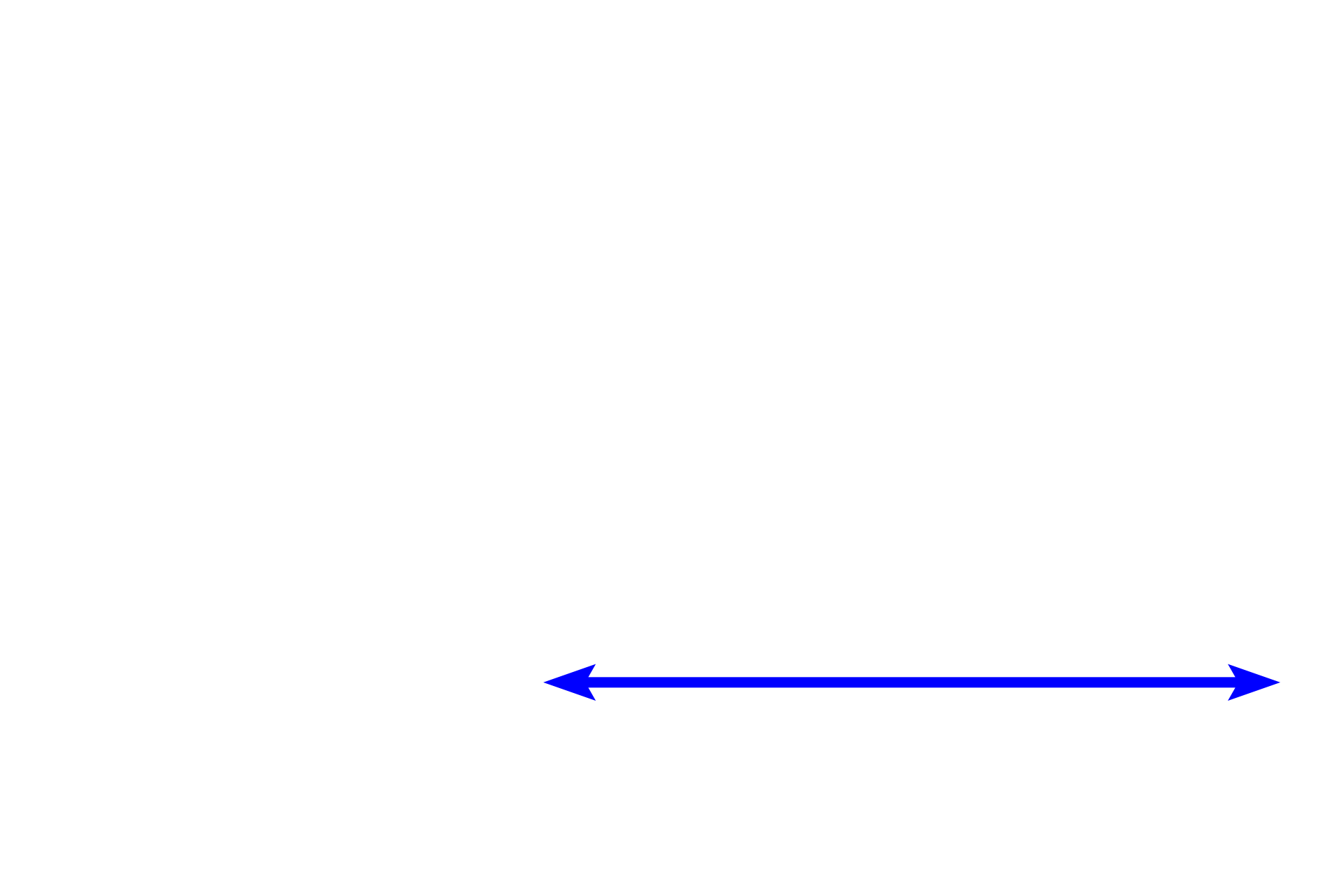  - Ascending thick limb <p>The juxtaglomerular apparatus has two components.  Juxtaglomerular cells are modified smooth muscle cells in the wall of the afferent arteriole at the vascular pole of the renal corpuscle.  The macula densa, in the wall of the adjacent ascending thick limb (distal straight tubule), is composed of numerous, compacted cells.  The juxtaglomerular apparatus regulates blood pressure and volume.  1000x</p>
