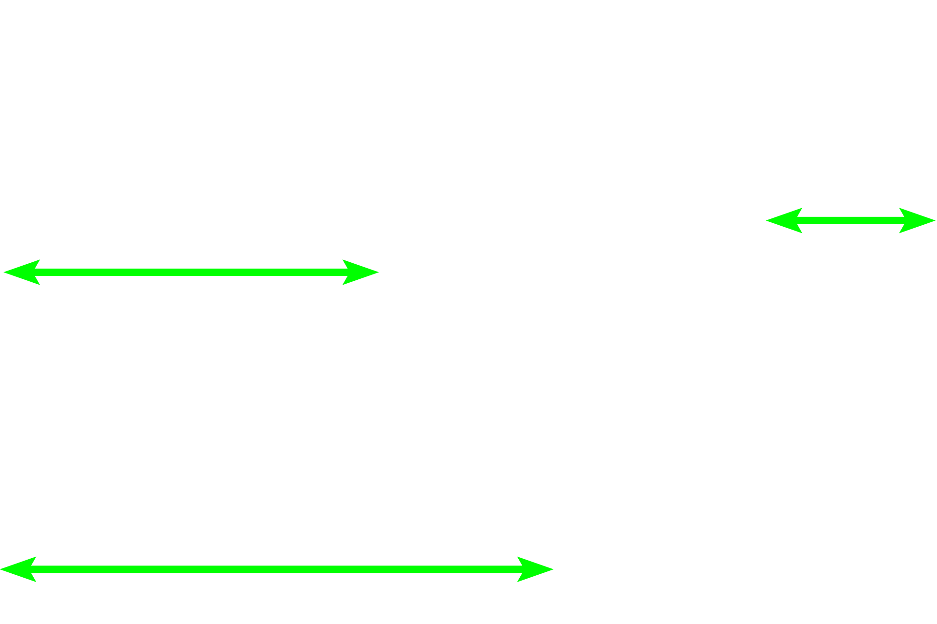 Convoluted portion <p>Medullary rays separate convoluted portions of the cortex and form the core of a renal lobule. Straight portions of proximal tubules and thick ascending limbs (distal straight tubules) are located in the medullary rays and are similar in appearance to their respective convoluted portions.  Collecting ducts are also present in the medullary ray. 200x</p>
