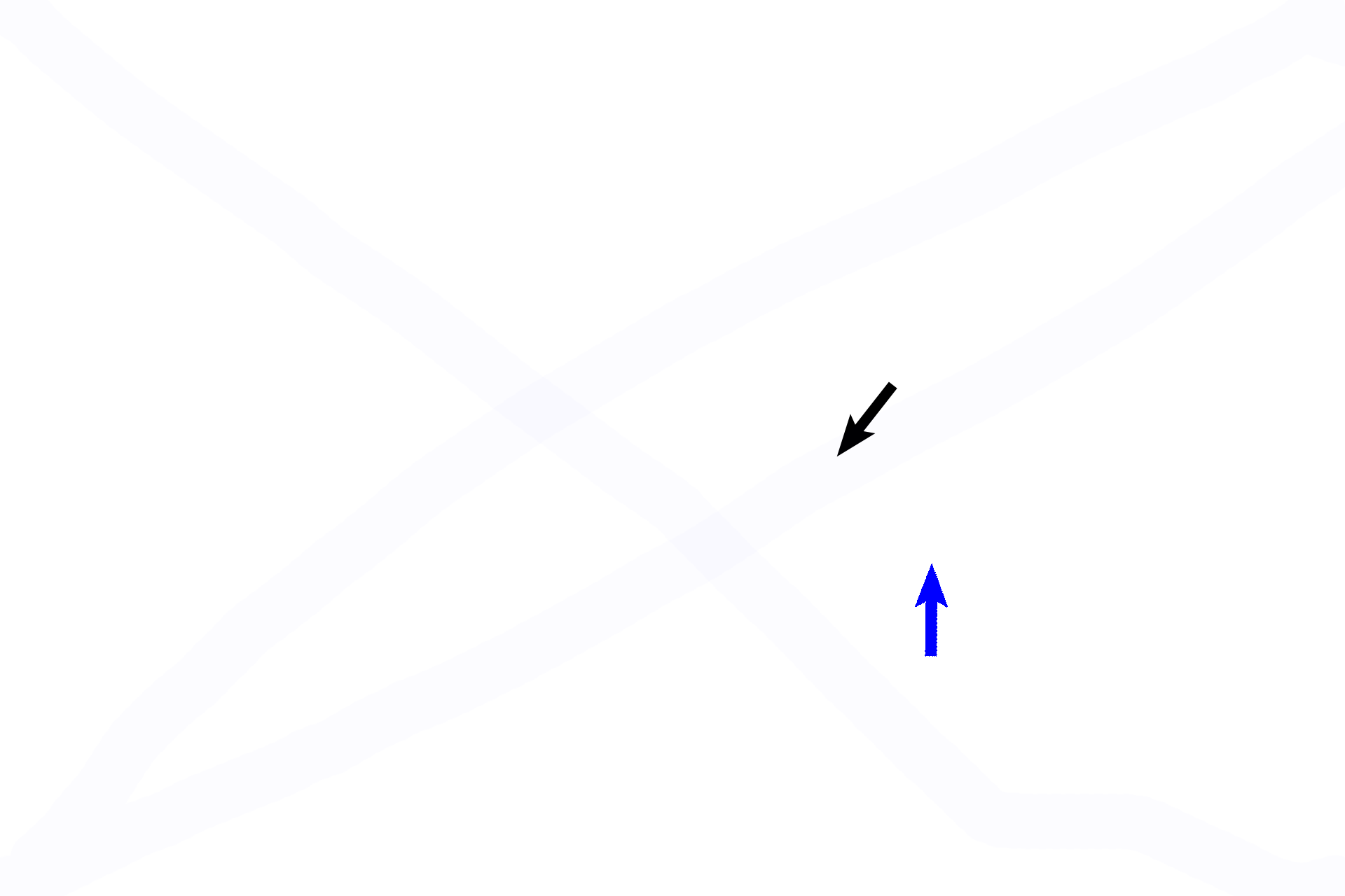  - Canal contents > <p>Each Haversian canal is filled with loose connective tissue and at least one blood vessel (black arrow). Because the Haversian canal is an internal space, it is lined by cells (blue arrow).  The cells can be lining cells, osteoblasts (as seen here) and/or osteoclasts. The diameter of the Haversian canal decreases with the deposition of each successive layer.</p>
