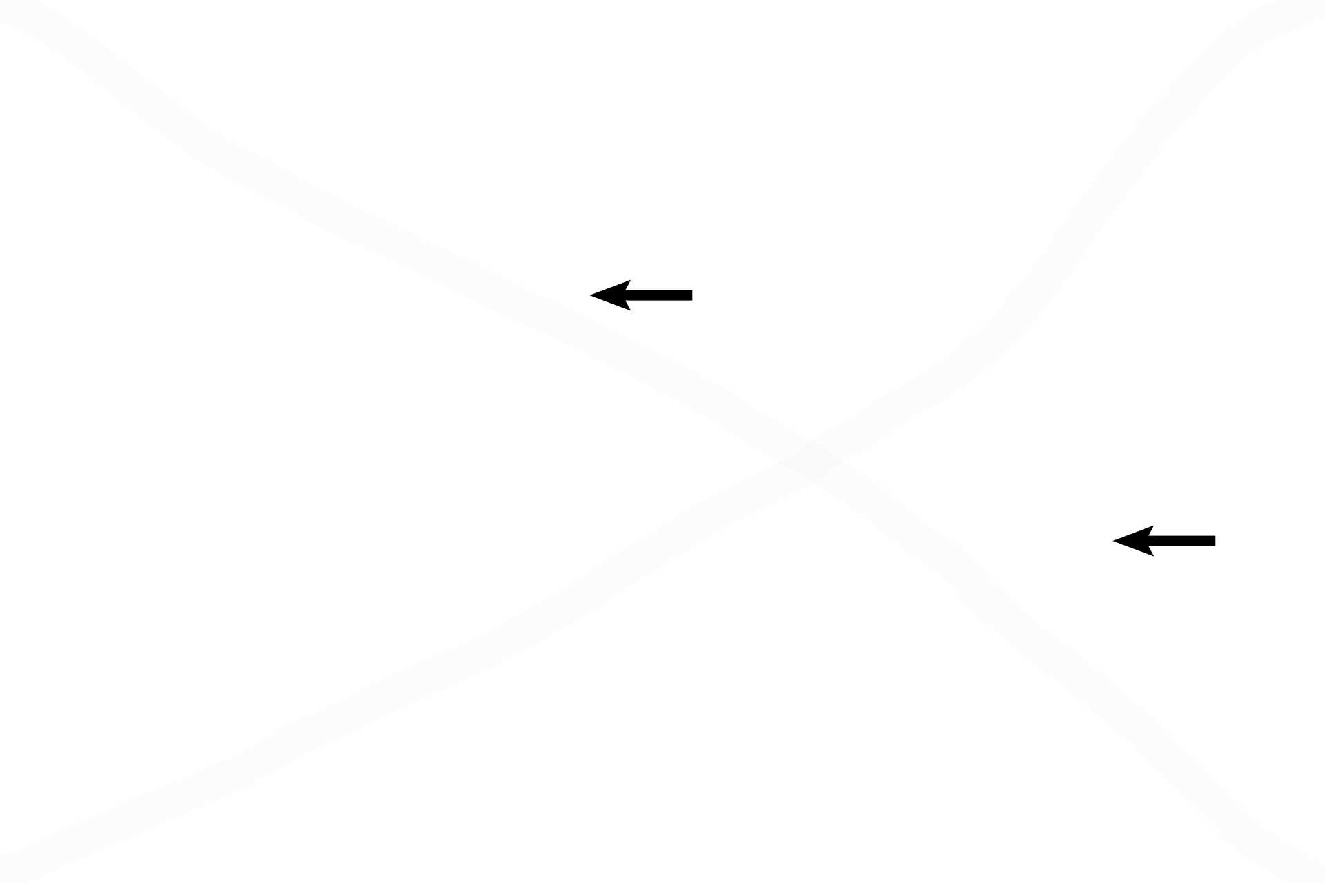  - Howship's lacunae <p>Osteoclasts lie in Howship’s lacunae, half-moon shaped recesses they have resorbed into the bone.</p>
