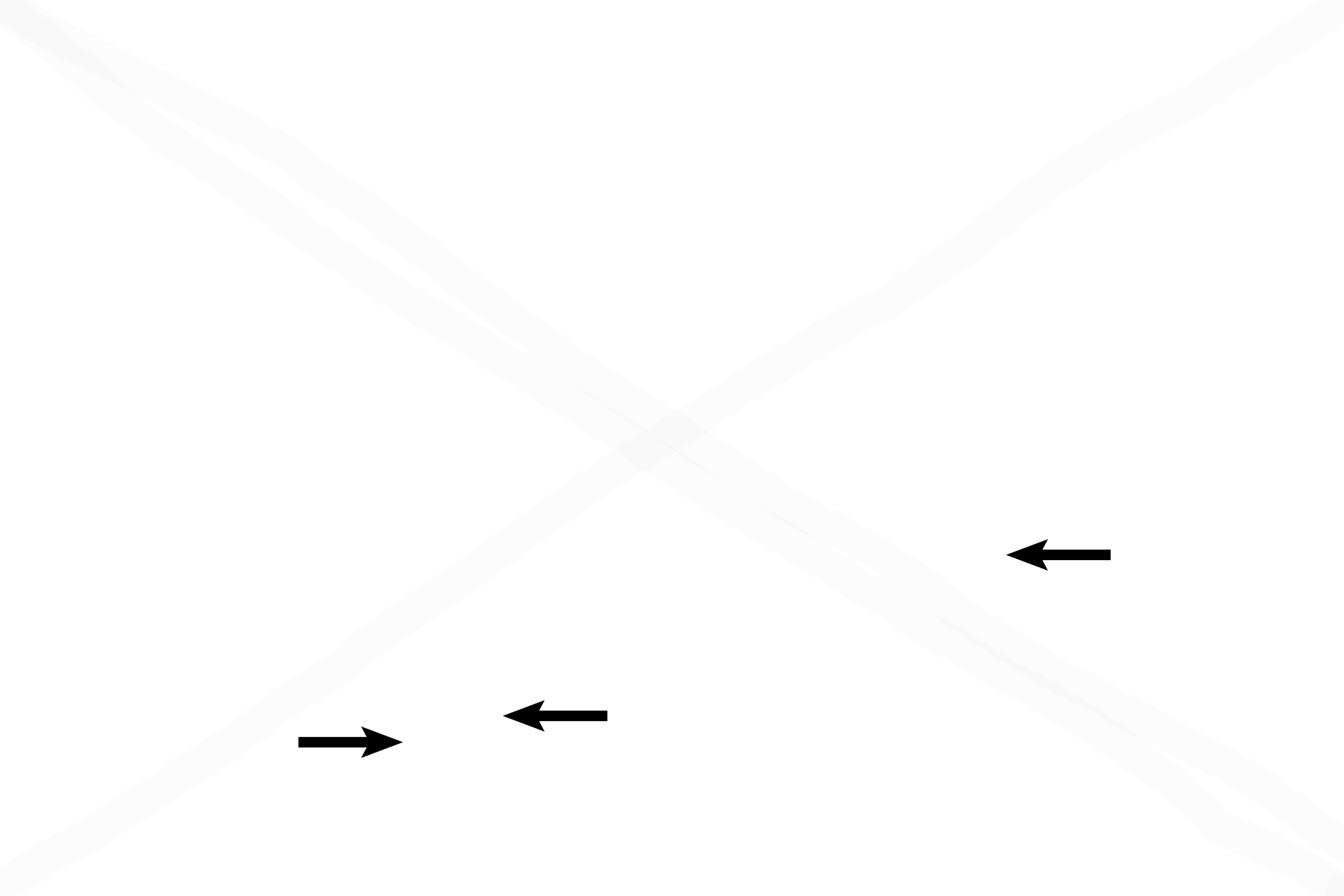 Blood vessels <p>Some osteoclasts have eroded a canal into the bone, called a resorption canal. These canals are usually located in the bony interior, but may also form on the bony interior or exterior surfaces as well, as seen here. Blood vessels are present in resorption canals and in the osteogenic layer of the periosteum</p>
