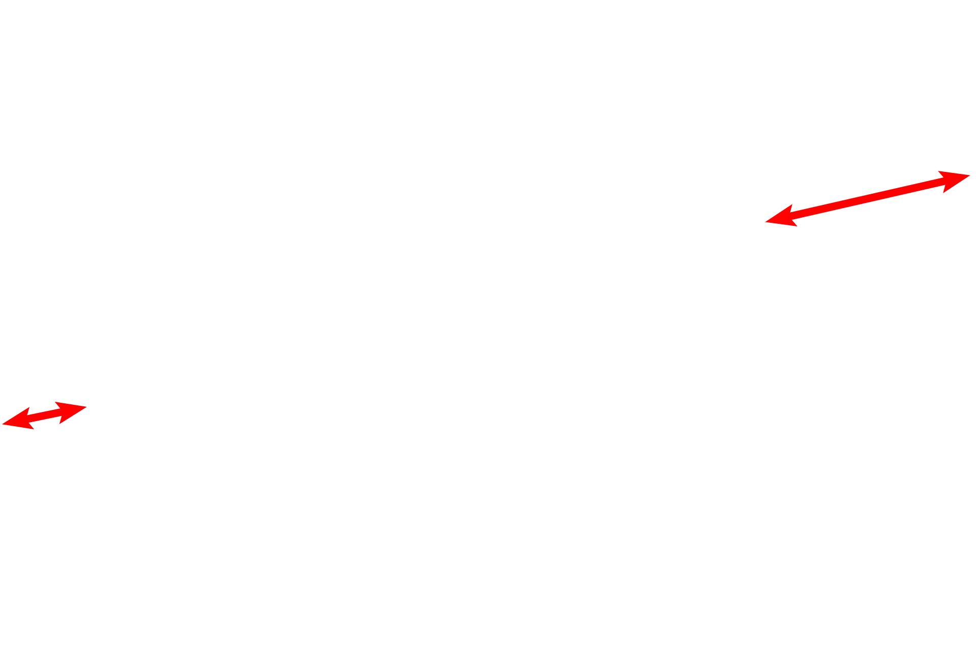 Normal cartilage <p>The chondrocytes in this future primary center of ossification have begun to mature and hypertrophy. The matrix surrounding these cells has not yet calcified. Hyaline cartilage cells on either side of this central region show progressive changes toward maturation. 200x</p>
