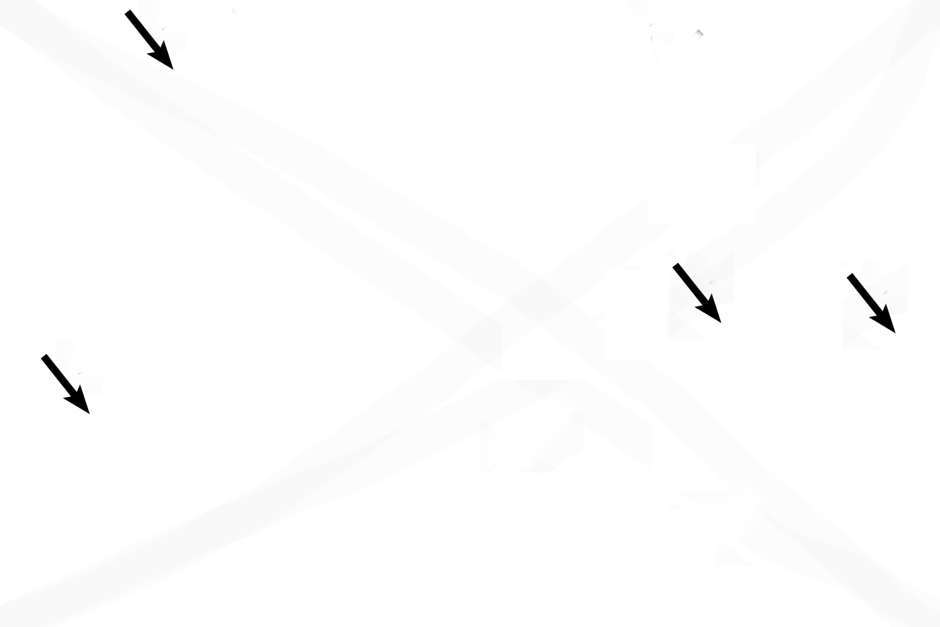 Blood vessels > <p>Numerous blood vessels are always present within and adjacent to bone.</p>
