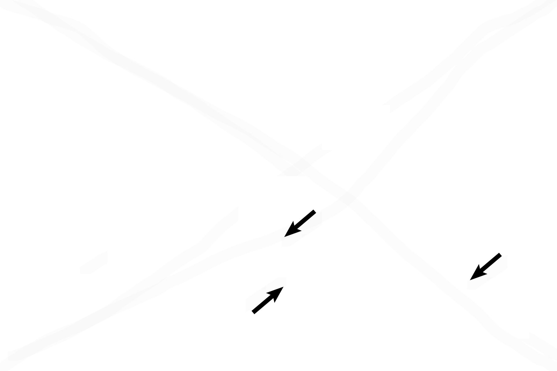 Lining (endosteal) cells <p>Compact woven bone in the fetus is laid down by the endosteum by intramembranous ossification. This developing bone is being resorbed on its outer surface while bone deposition is occurring on its inner surface. 400x</p>
