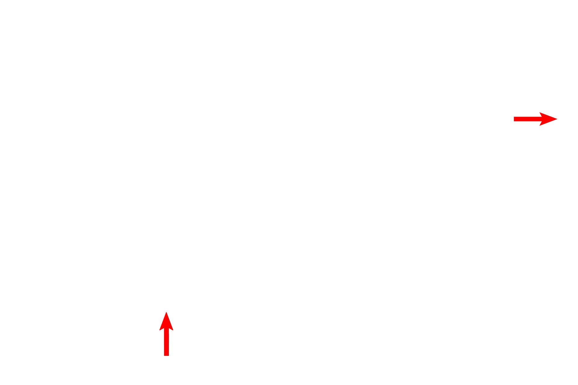 Inactive fibroblasts <p>This high magnification image of the connective tissue of the breast during pregnancy shows the accumulation of plasma cells, which secrete antibodies of the IgA class into the milk. These antibodies provide passive immunity to the newborn child. Other cells typical to connective tissue are also visible. 1000x </p>
