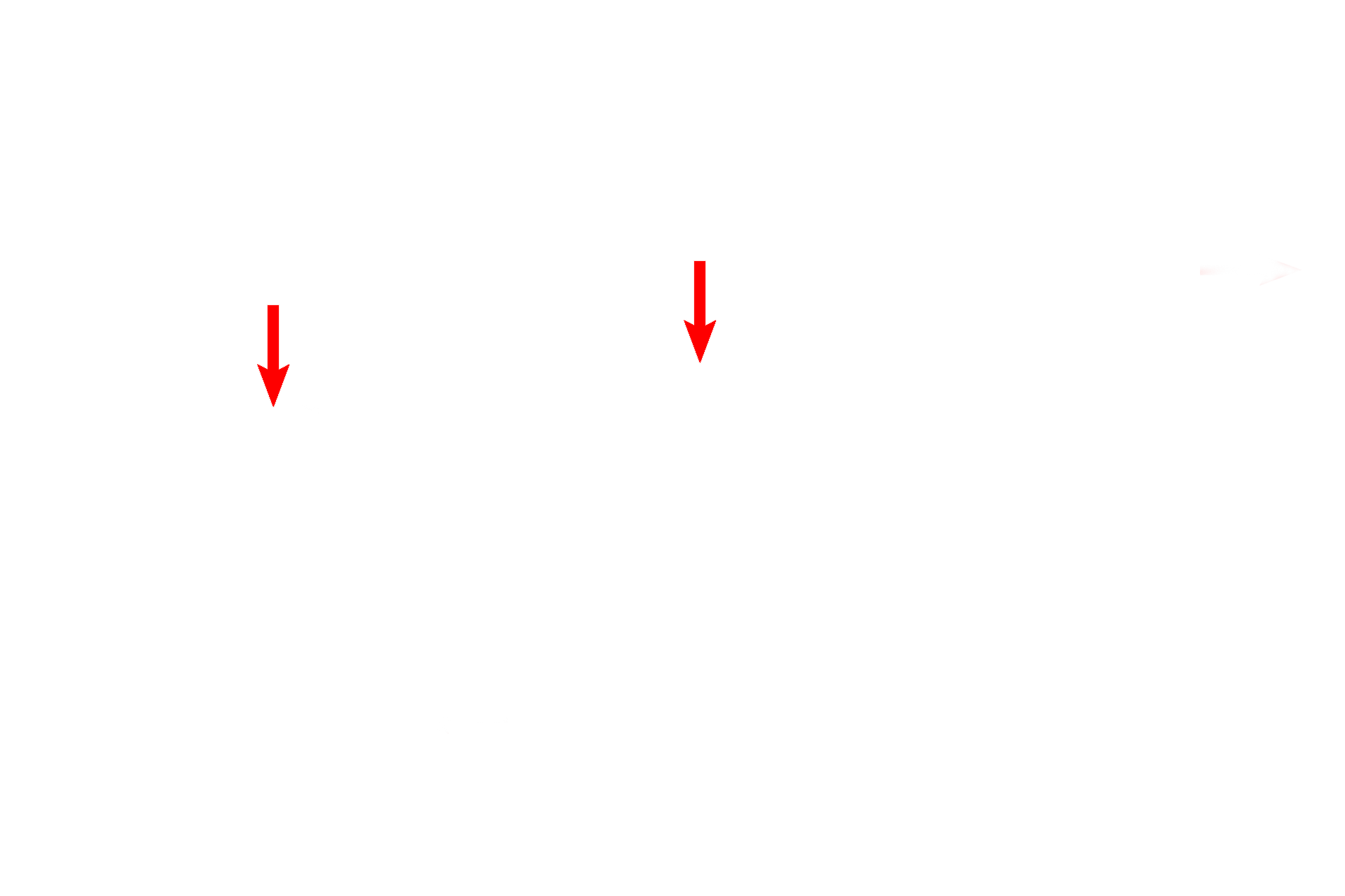 Mast cells <p>This high magnification image of the connective tissue of the breast during pregnancy shows the accumulation of plasma cells, which secrete antibodies of the IgA class into the milk. These antibodies provide passive immunity to the newborn child. Other cells typical to connective tissue are also visible. 1000x </p>
