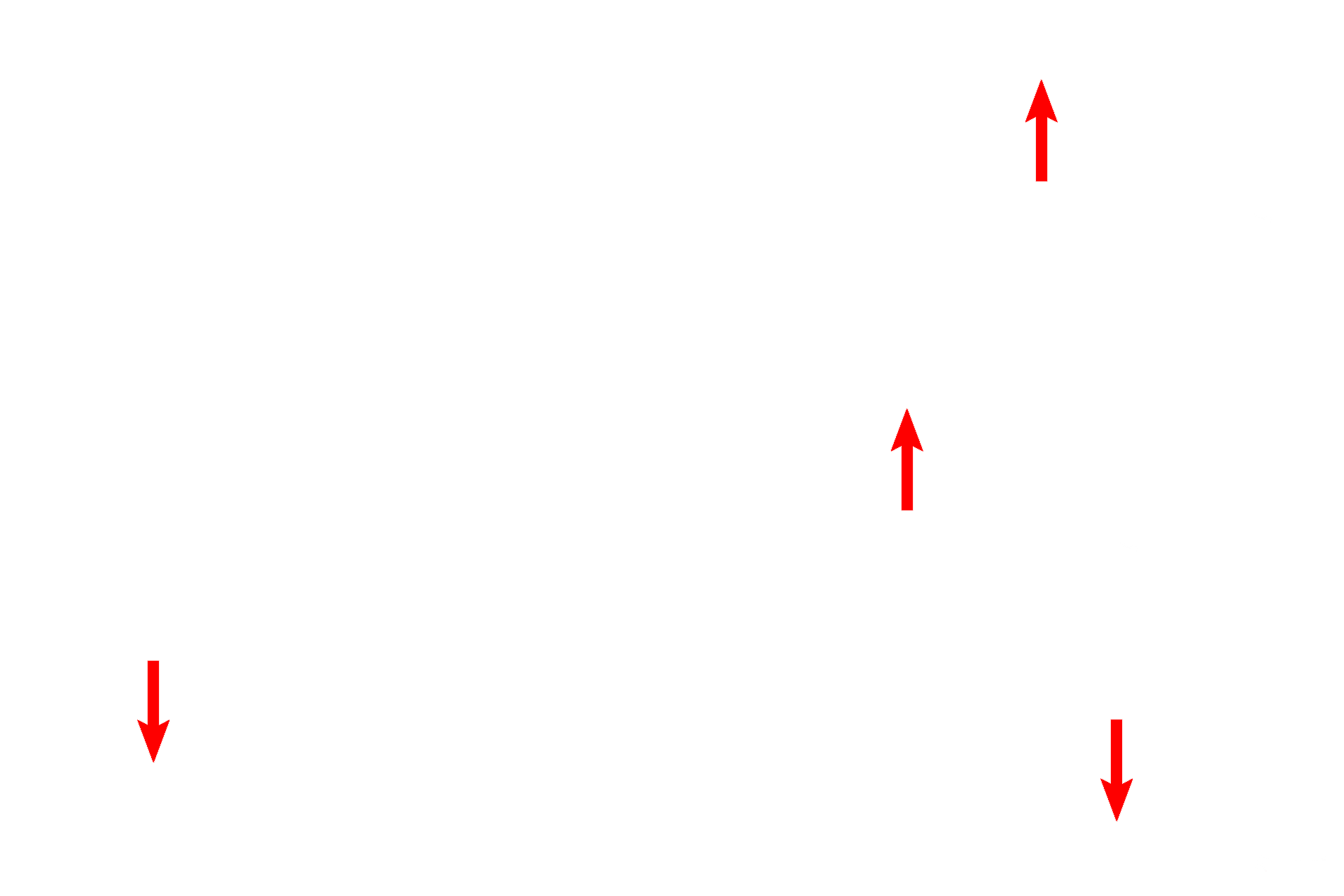 Collagen fibers <p>This high magnification image of the connective tissue of the breast during pregnancy shows the accumulation of plasma cells, which secrete antibodies of the IgA class into the milk. These antibodies provide passive immunity to the newborn child. Other cells typical to connective tissue are also visible. 1000x </p>
