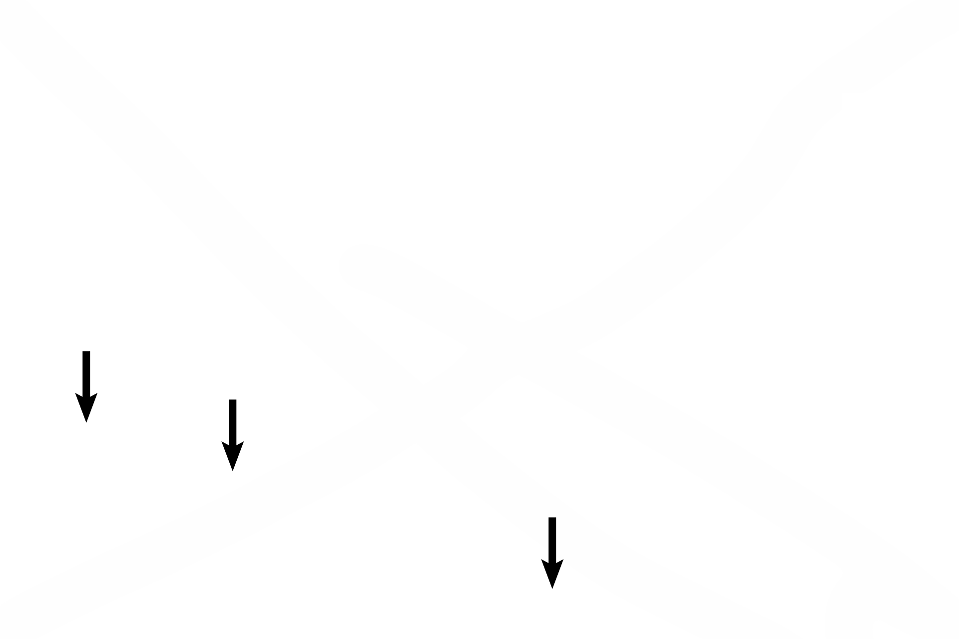 Follicles <p>The ovary is covered by a serosa of epithelium overlying a thin connective tissue layer. However, rather than the expected simple squamous epithelium, the epithelium of this serosa is simple cuboidal and is called by the misnomer “germinal epithelium.”  A dense connective tissue layer, tunica albuginea, lies beneath the serosa. Small follicles are located in the cortex beneath the tunica albuginea.  400x</p>
