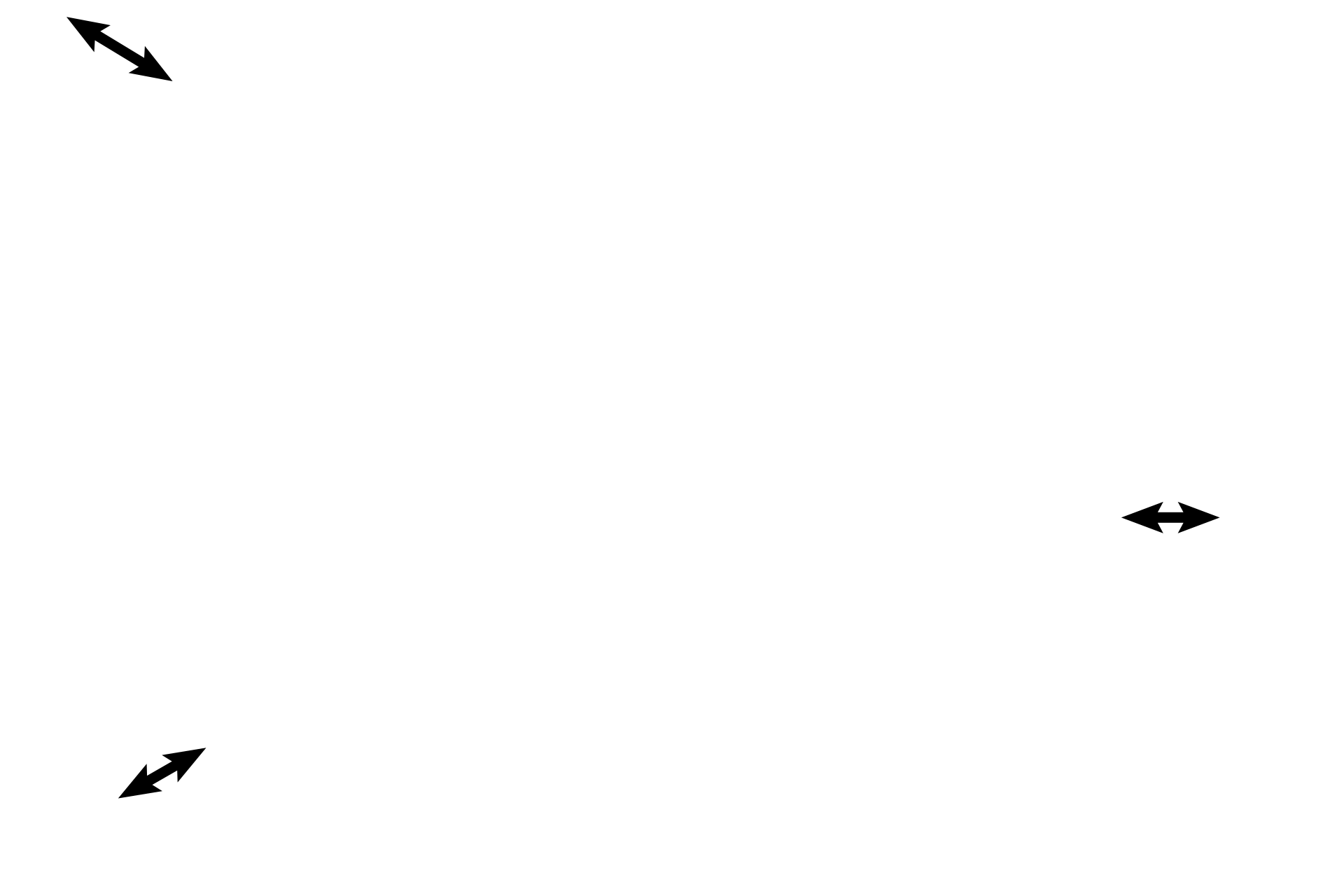 Muscularis externa <p>The lumen of the ampulla is subdivided by branching mucosal folds.  No muscularis mucosae is present in the mucosa, so a connective tissue layer composed of lamina propria and submucosa extends between the epithelium and the muscularis externa.  The boundary line between the connective tissue and muscular layers is difficult to distinguish, especially at this magnification.   </p>

