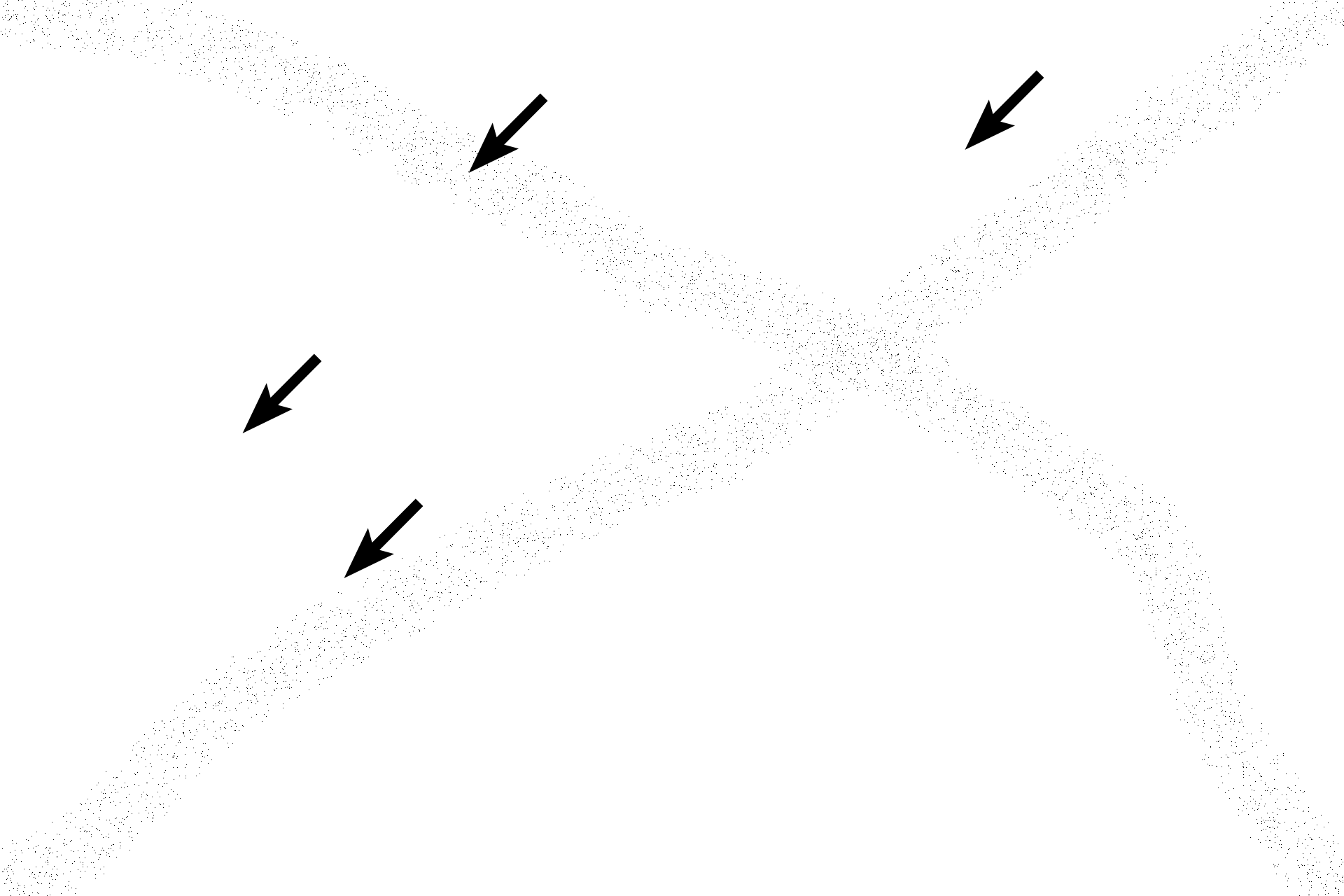 Epithelium <p>The ampullary wall has a highly infolded mucosa.  Because a muscularis mucosae is lacking, lamina propria and submucosa form a single connective tissue layer.  Muscularis externa consists of inner circular and outer longitudinal layers that intermingle.  The oviduct (Fallopian tube) is surrounded by a serosa and suspended by a mesosalpinx from the broad ligament.  400x</p>
