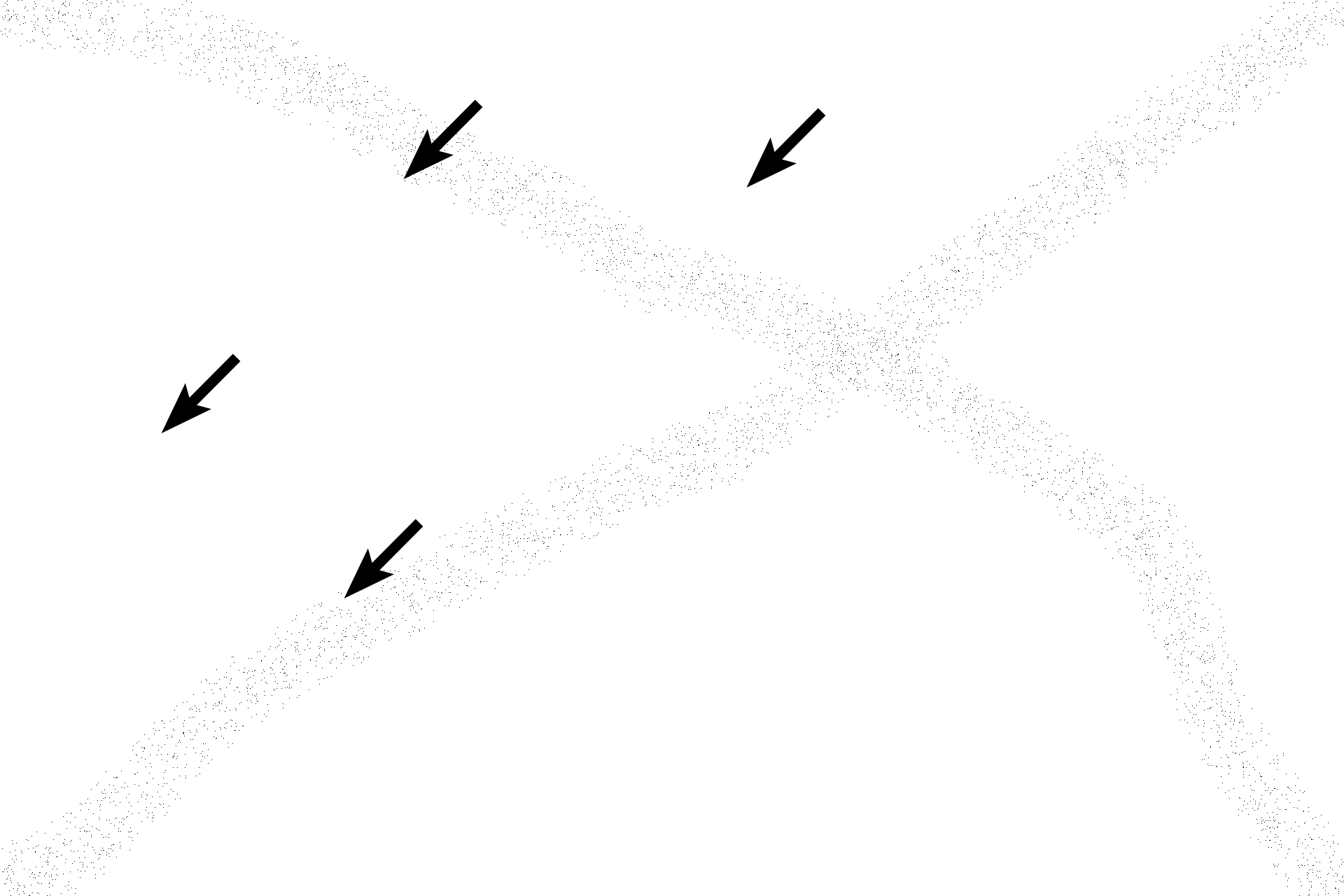Lamina propria <p>The ampullary wall has a highly infolded mucosa.  Because a muscularis mucosae is lacking, lamina propria and submucosa form a single connective tissue layer.  Muscularis externa consists of inner circular and outer longitudinal layers that intermingle.  The oviduct (Fallopian tube) is surrounded by a serosa and suspended by a mesosalpinx from the broad ligament.  400x</p>
