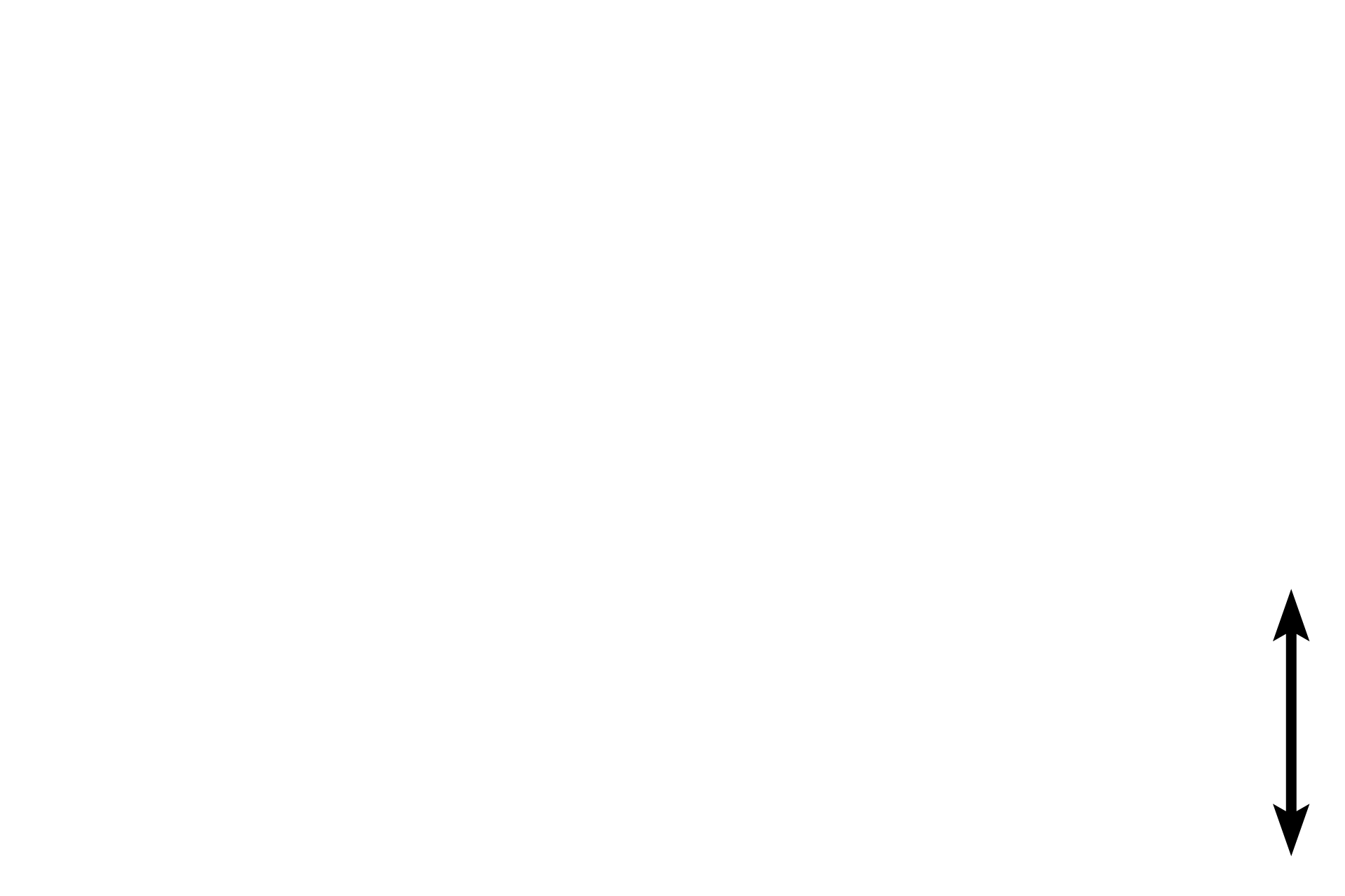 Mesosalpinx <p>The ampullary wall has a highly infolded mucosa.  Because a muscularis mucosae is lacking, lamina propria and submucosa form a single connective tissue layer.  Muscularis externa consists of inner circular and outer longitudinal layers that intermingle.  The oviduct (Fallopian tube) is surrounded by a serosa and suspended by a mesosalpinx from the broad ligament.  400x</p>

