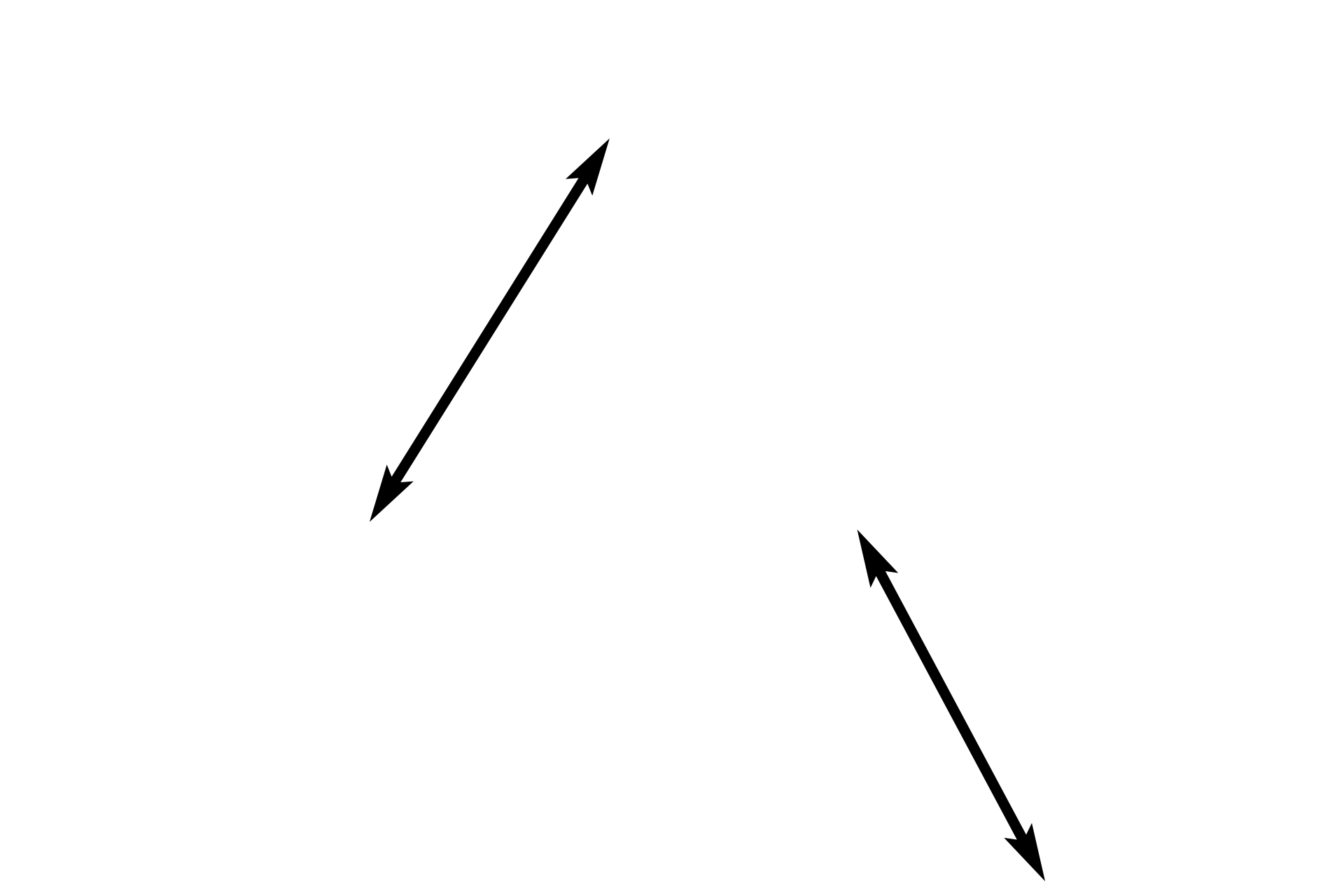 Simple columnar epithelium  <p>Two folds of the oviductal mucosa of the ampulla are shown.  The simple columnar epithelium lining the oviduct possesses both ciliated and secretory cells, whose activity is regulated by ovarian hormones.  1000x</p>
