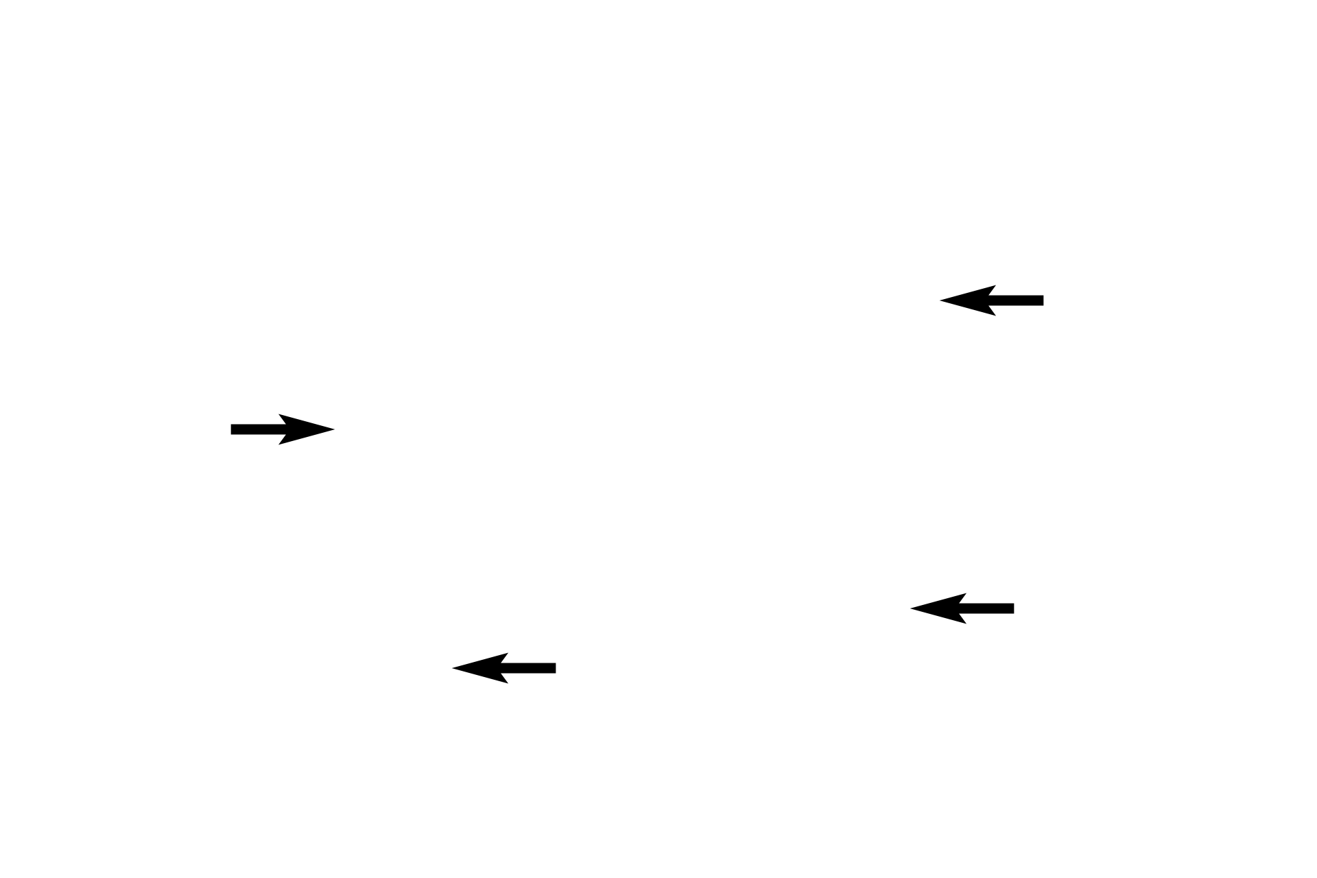 Ciliated cells  <p>Two folds of the oviductal mucosa of the ampulla are shown.  The simple columnar epithelium lining the oviduct possesses both ciliated and secretory cells, whose activity is regulated by ovarian hormones.  1000x</p>
