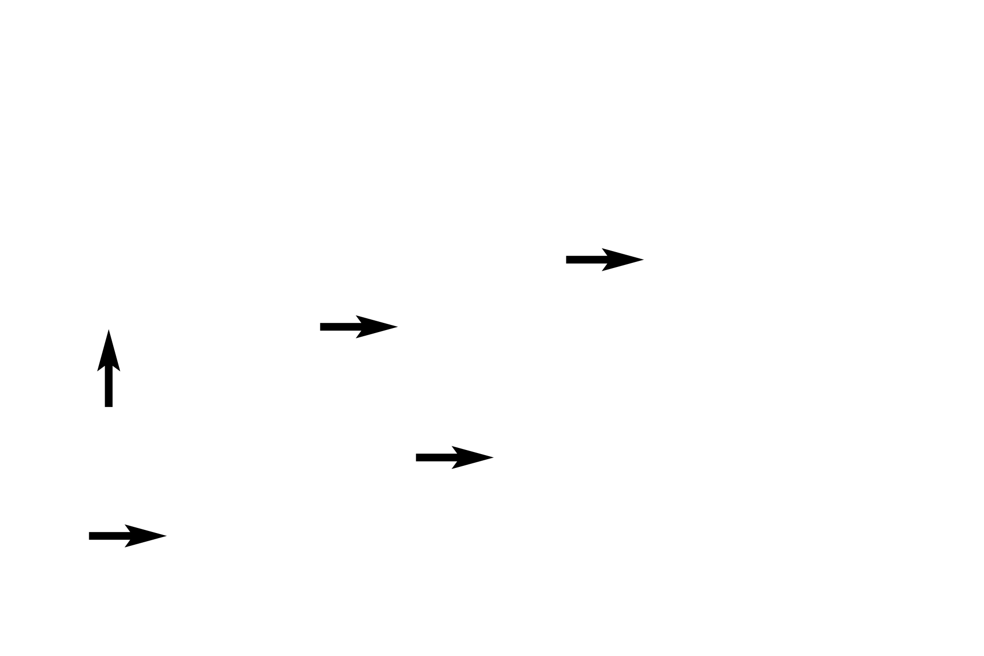 Secretory cells  <p>Two folds of the oviductal mucosa of the ampulla are shown.  The simple columnar epithelium lining the oviduct possesses both ciliated and secretory cells, whose activity is regulated by ovarian hormones.  1000x</p>
