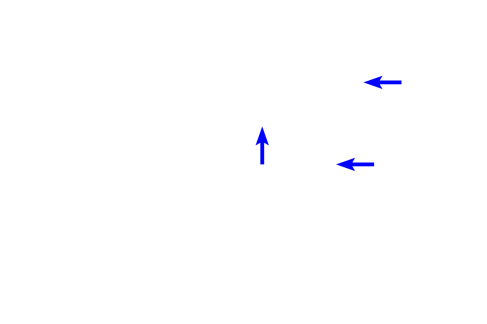 Epithelium  <p>The isthmus is a narrow portion of the oviduct between ampulla and uterus.  Folds and cilia decrease in the oviduct nearer the uterus, as secretory cells and smooth muscle increase.  Therefore, the isthmus can be differentiated from the ampulla by the presence of fewer folds and thicker smooth muscle.  100x </p>
