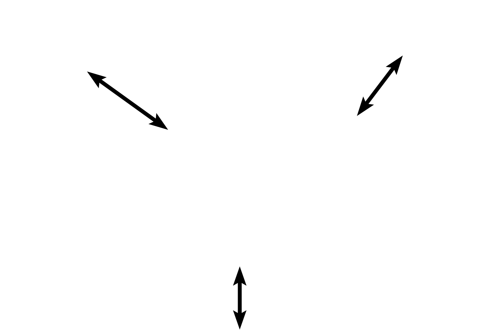 Muscularis externa  <p>The intramural oviduct lies within the uterine wall, surrounded by the uterine musculature.  In the intramural oviduct, the folds of the mucosa are reduced to just a few ridges; secretory cells outnumber ciliated cells, and the muscularis externa is thick.  40x</p>
