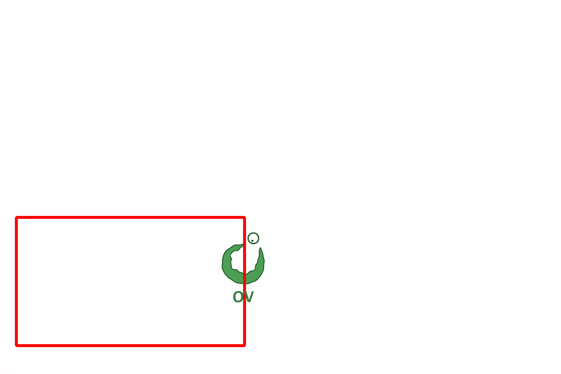 1st half of cycle > <p>The ovarian cycle can be divided into two halves of approximately 14 days each.  Specific structures will be actively secreting a hormone(s) during each half of the cycle.  Knowing when these structures are present and what hormone(s) they secrete is essential to understanding the activity of the ovary and, therefore, of the other female reproductive organs as well.</p>
