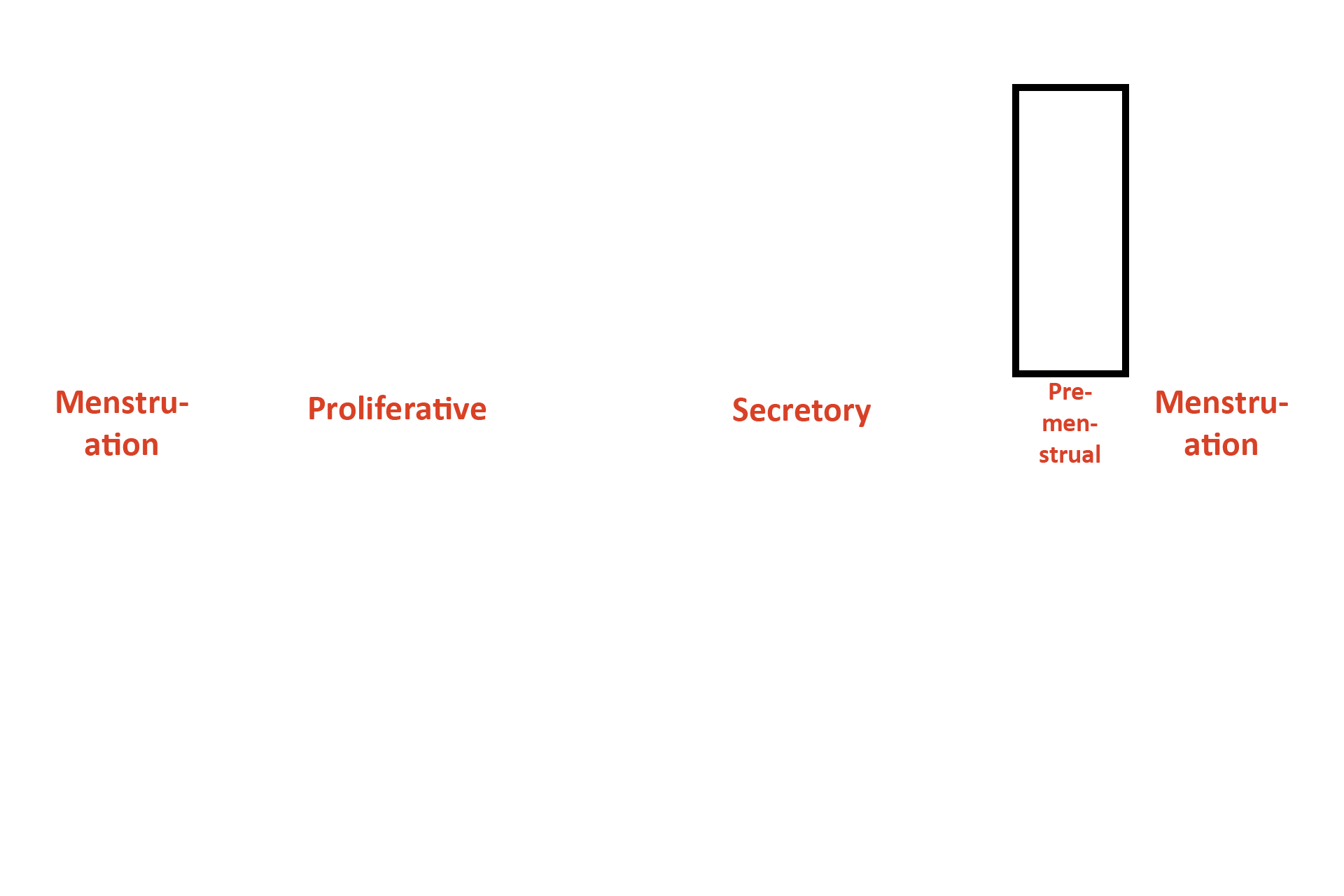  - Stage > <p>This stage of the menstrual (uterine) cycle from Days 26-28 is called the pre-menstrual phase, because the changes in the endometrium result in menstruation.  (This phase can also be considered a subdivision of the secretory phase and would then be called the ischemic portion of the secretory phase.)</p>
