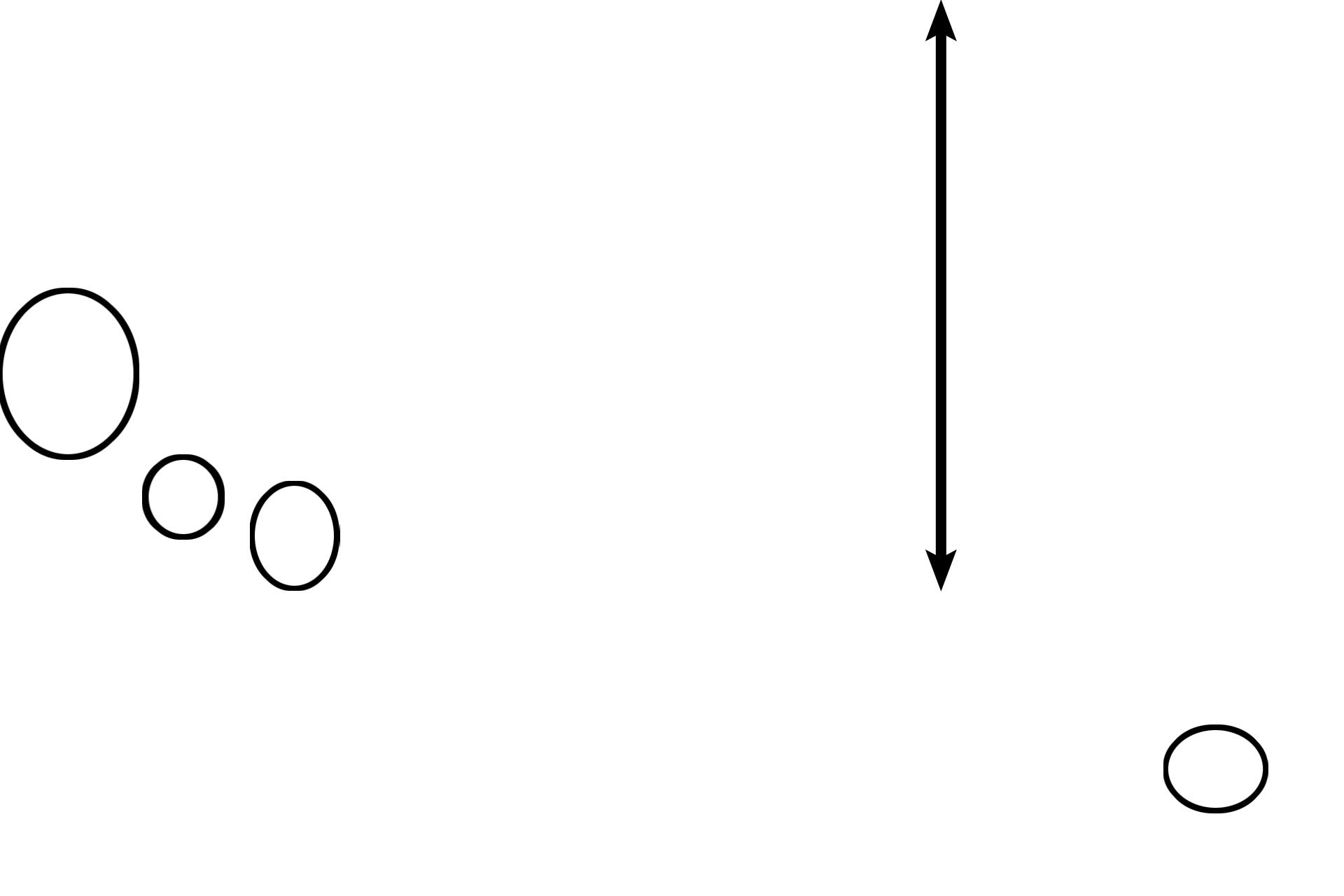 Follicles <p>The surface of the ovary shows the position and size of the smallest follicles, the primordial and primary unilaminar follicles, located just beneath the tunica albuginea.  Larger follicles (primary multilaminar and secondary follicles) are located deeper in the cortex.  Follicles are epithelial structures that house developing oocytes, the germ cells.  100x </p>
