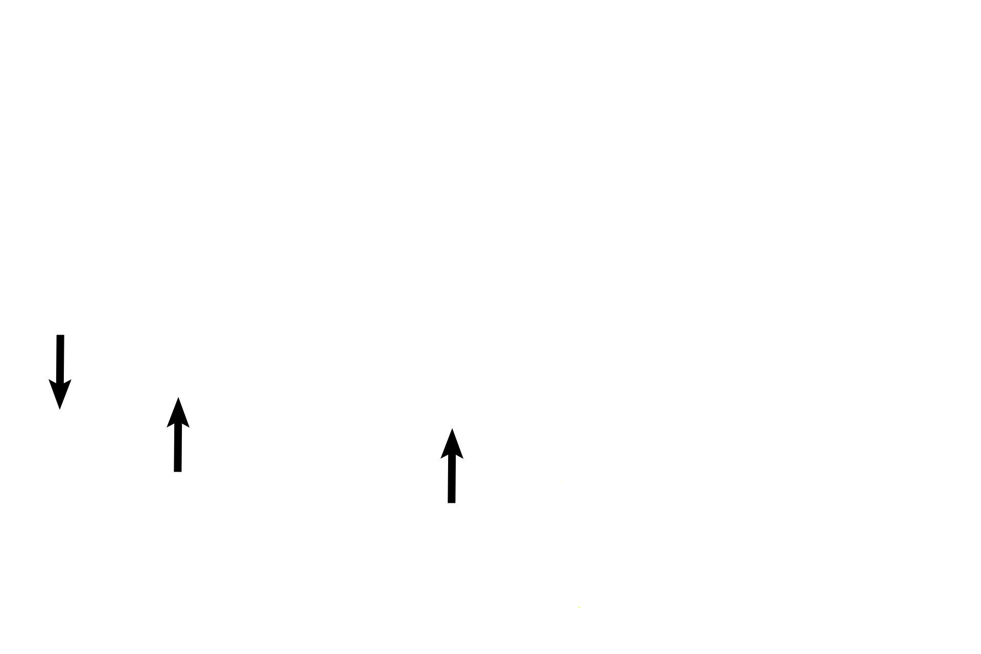  - Follicular cells <p>Primordial follicles frequently appear in clusters near the surface of the ovarian cortex.  These follicles develop in fetal ovaries during gestation and are seen in this position throughout the reproductive life of the female. Primordial follicles consist of a primary oocyte surrounded by follicular cells, composed of a simple squamous epithelium and its underlying basement membrane.  400x </p>
