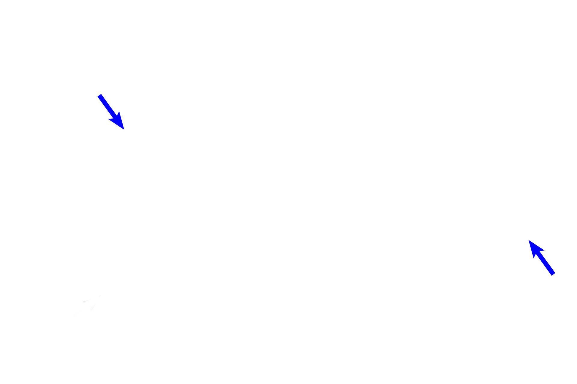 Theca interna <p>The secondary follicle continues to grow, its multiple antral spaces coalescing into a single antrum.  The primary oocyte remains arrested in prophase of the first meiotic division.  It is surrounded by a ring of granulosal cells (the cumulus oophorus) and protrudes into the antral space.  400x </p>
