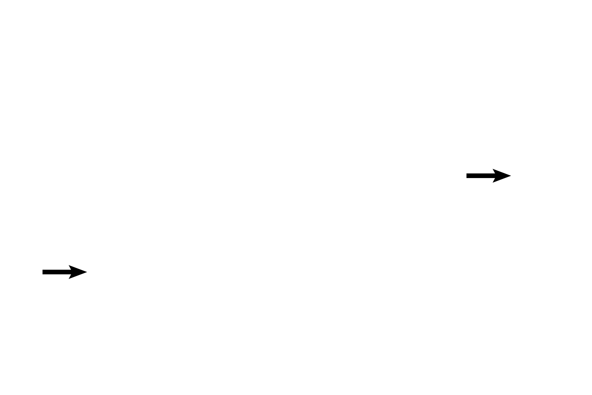 Primary oocyte > <p>The primary oocyte, arrested in prophase of the first meiotic division, is surrounded by the zona pellucida.  Stratum granulosal cells form a hillock surrounding the oocyte, termed the cumulus oophorus; the first row of cumulus cells outside the zona pellucida is the corona radiata.  The cumulus oophorus, including the corona, accompanies the oocyte during ovulation.</p>
