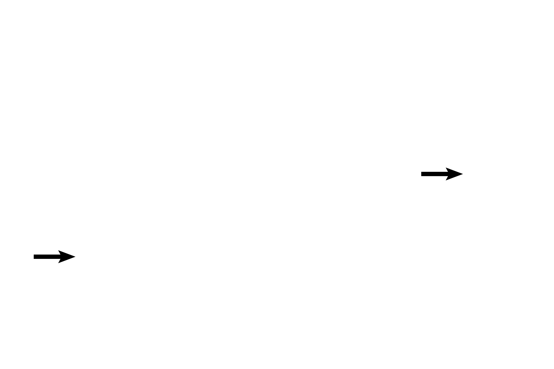 Zona pellucida <p>The primary oocyte, arrested in prophase of the first meiotic division, is surrounded by the zona pellucida.  Stratum granulosal cells form a hillock surrounding the oocyte, termed the cumulus oophorus; the first row of cumulus cells outside the zona pellucida is the corona radiata.  The cumulus oophorus, including the corona, accompanies the oocyte during ovulation.</p>
