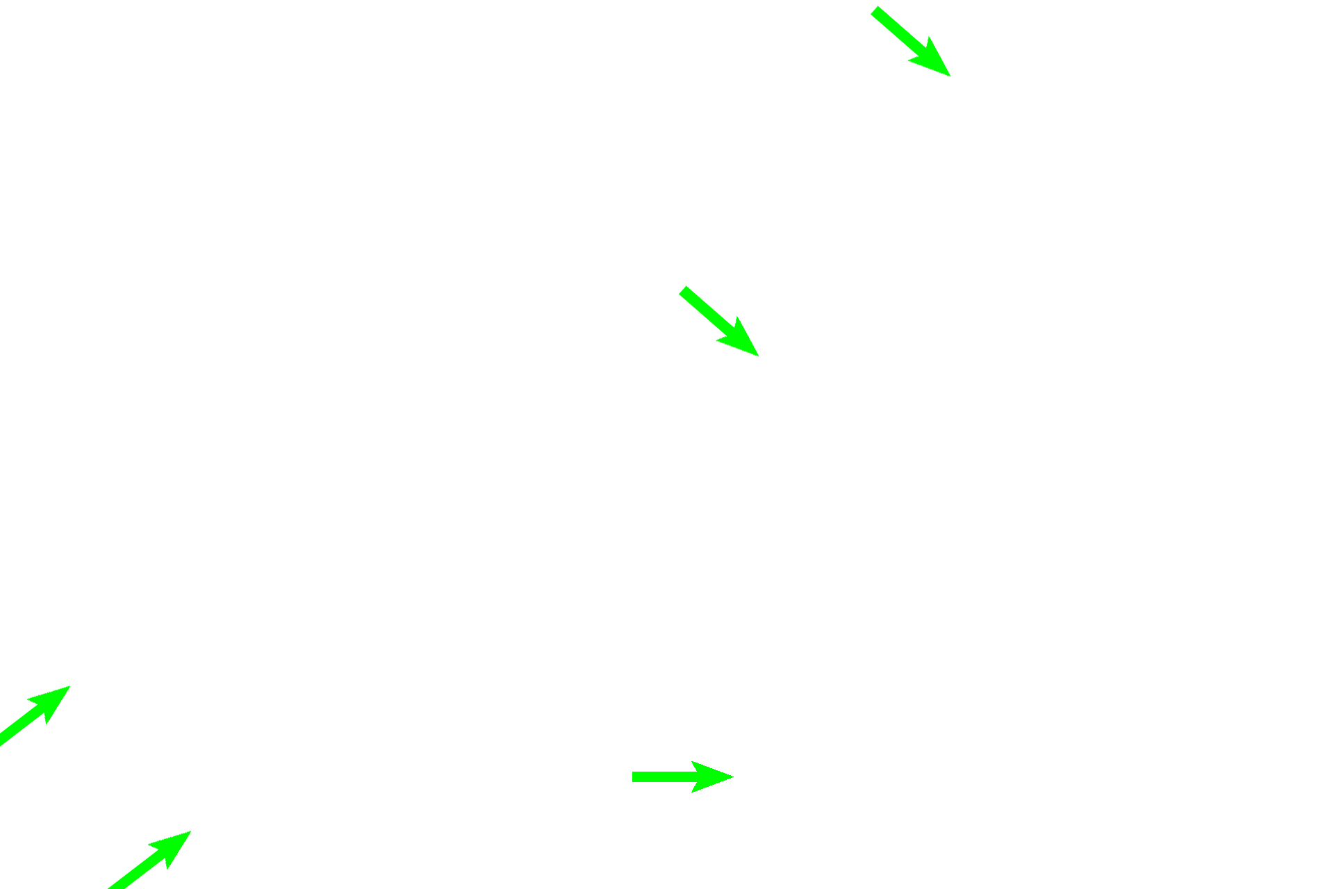 Theca interna <p>The stratum (or membrana) granulosum surrounds the antrum.  Under the influence of LH from the pituitary, the theca interna produces testosterone, which is transported to granulosa cells for chemical modification (aromatization) to form estrogen.  Granulosa cells are stimulated by the action of FSH from the adenohypophysis.</p>
