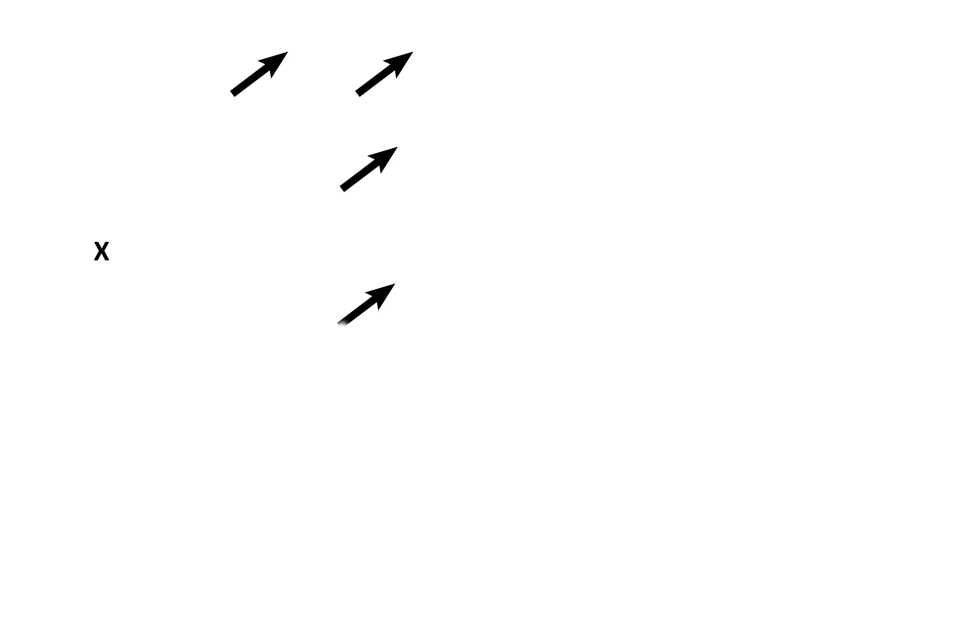 Frame A > <p>Two different types of atretic follicles are seen.  The antrum of an atretic secondary follicle (X) is visible; note the granulosal cells sloughed into the antrum.  Each atretic follicle labeled with an arrow is composed only of its zona pellucida; the remainder of each follicle has degenerated.  </p>
