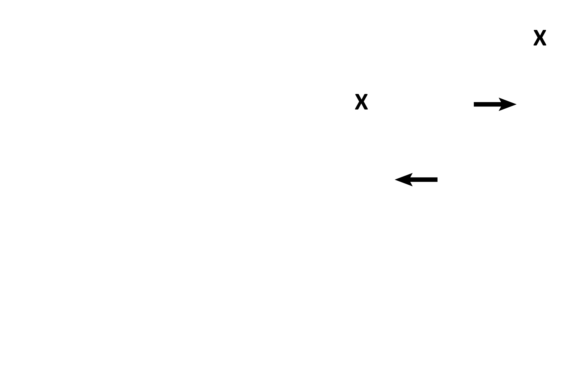 Frame B > <p>Portions of the atretic remains of two secondary follicles are seen; each antral space is labeled with an “X.”  Each atretic follicle shows granulosal cells sloughing into the antrum and pulling away from the basement membrane (arrows).  </p>
