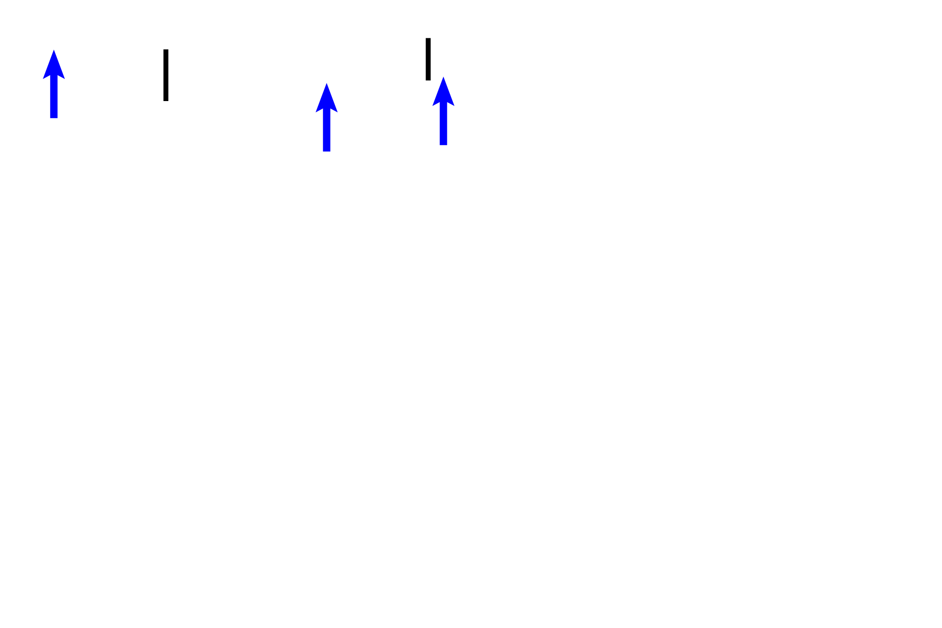 Chorionic plate > <p>The amnion was removed in this preparation; it would have enclosed the amniotic cavity surrounding the embryo and would have been located at the upper border of this image. The chorionic plate (bars), surrounding the amnion, is composed of extraembryonic connective tissue covered by a double layer of trophoblastic cells, seen as a thin, purple line (arrows) on the lower edge of the plate.  </p>
