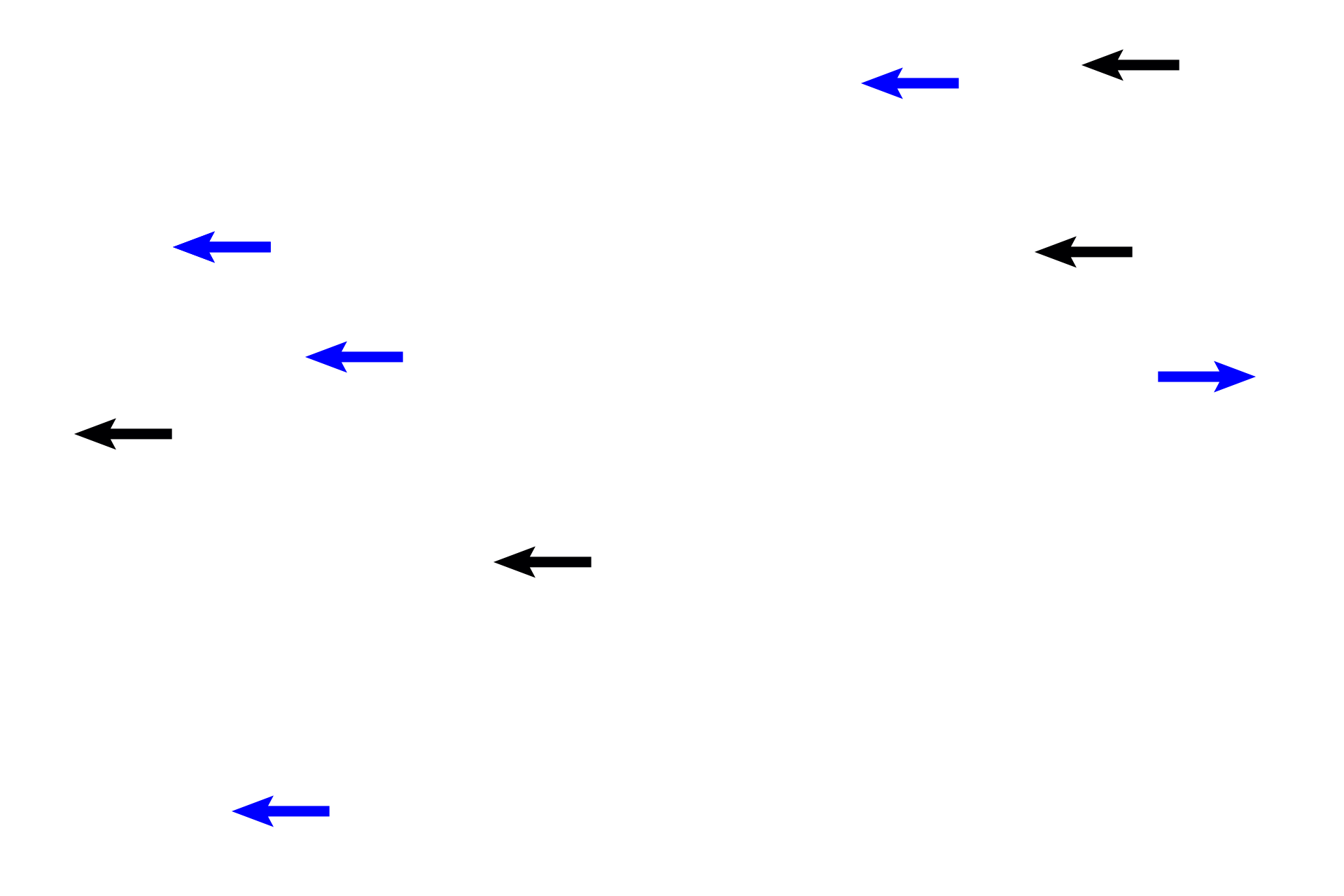 Chorionic villi > <p>Chorionic villi, the functional components of the embryonic placenta, are composed of a central core of embryonic connective tissue (blue arrows) covered by a double layer of trophoblastic epithelium (black arrows). Chorionic villi extend from the chorionic plate and branch from this trunk like roots of a tree. Villi contain embryonic blood vessels involved with exchange of nutrients and wastes with maternal blood.</p>
