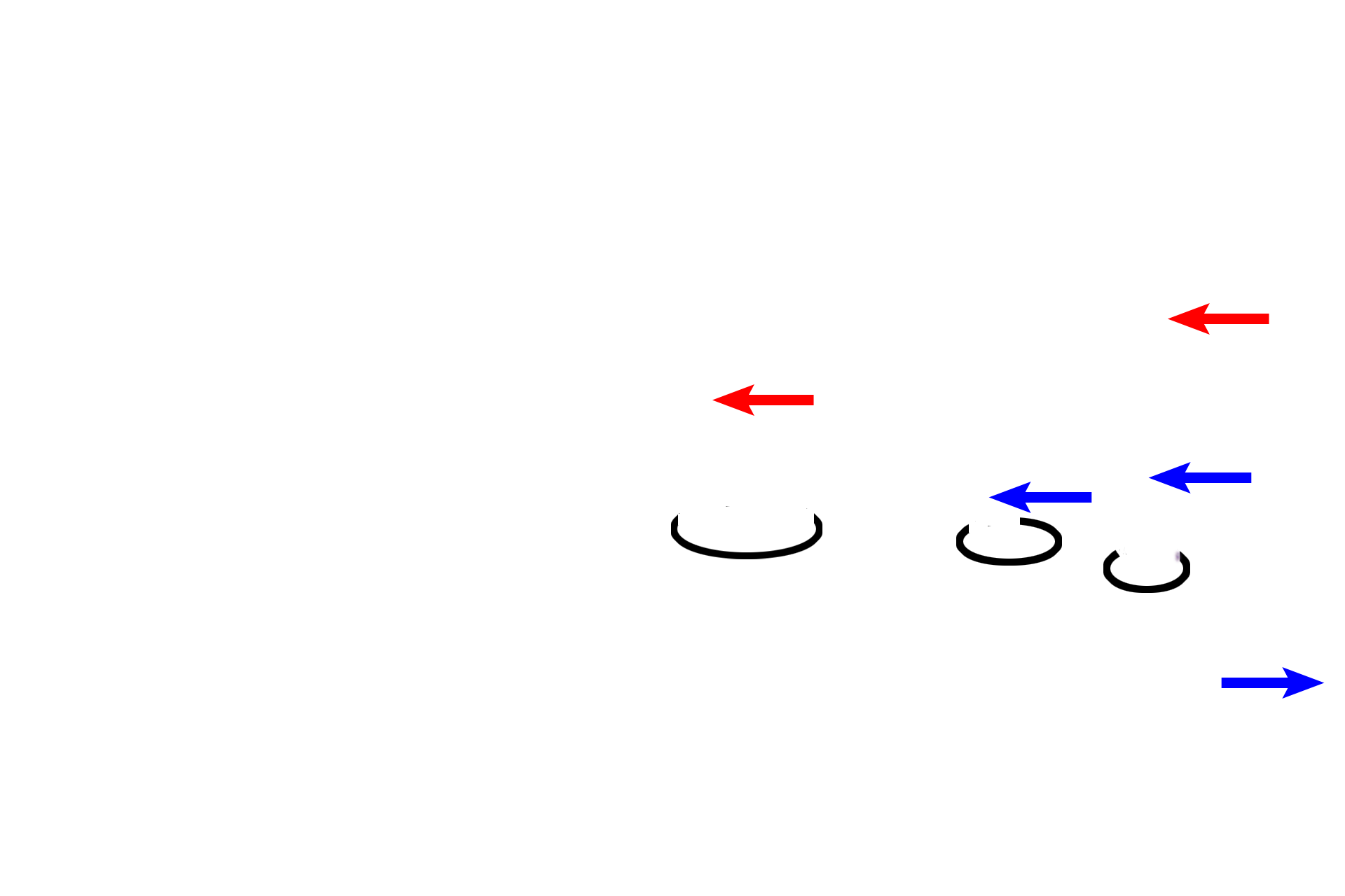  - Anchoring villi > <p>Anchoring villi (encircled), extend to the maternal side of the placenta, anchoring the thick, villous component to the trophoblastic shell and, indirectly, to the decidua.  Embryonic CT (red arrows) does not extend all the way across the embryonic placenta; therefore, the central core of an anchoring villus is a column of cytotrophoblast cells (blue arrows) covered by syncytiotrophoblast. </p>
