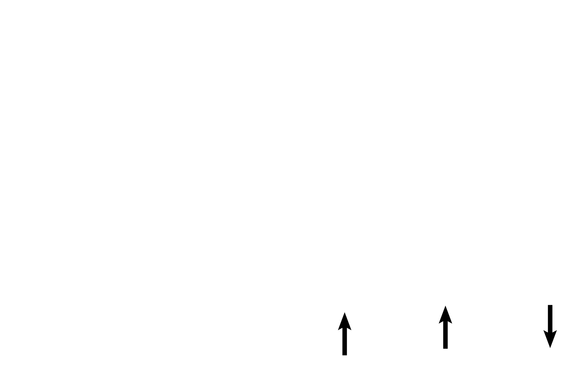 Fibrinoid <p>The trophoblastic shell is a thick layer of cytotrophoblastic cells that forms the outer perimeter of the embryonic placenta.  This layer still lies beneath the syncytiotrophoblast (blue arrows) and abuts the maternal decidua, sometimes separated from it by a layer of fibrinoid, an acidophilic extracellular material related to fibrin. </p>
