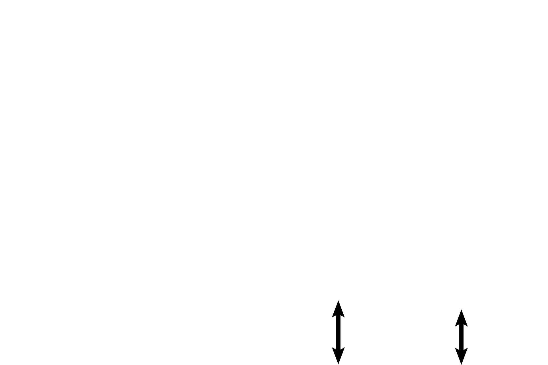 Decidua > <p>The decidua, a layer of decidual cells derived from endometrial stromal cells, forms the maternal placenta.  Present throughout the uterus, decidual regions are named according to their position relative to the embryo; the region seen here, lying beneath the functional embryonic placenta, is termed decidua basalis. </p>
